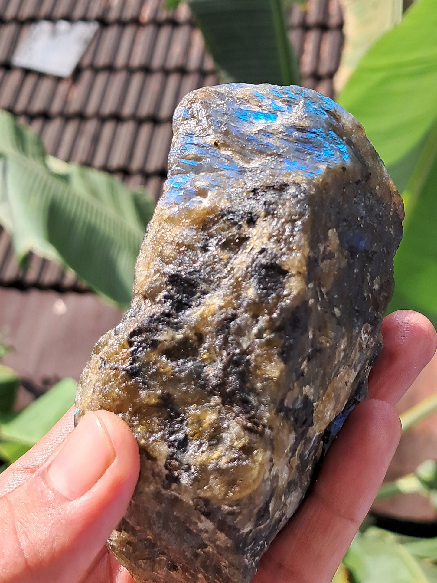 Labradorite Raw (Madagascar) | Strong Flash #LB5