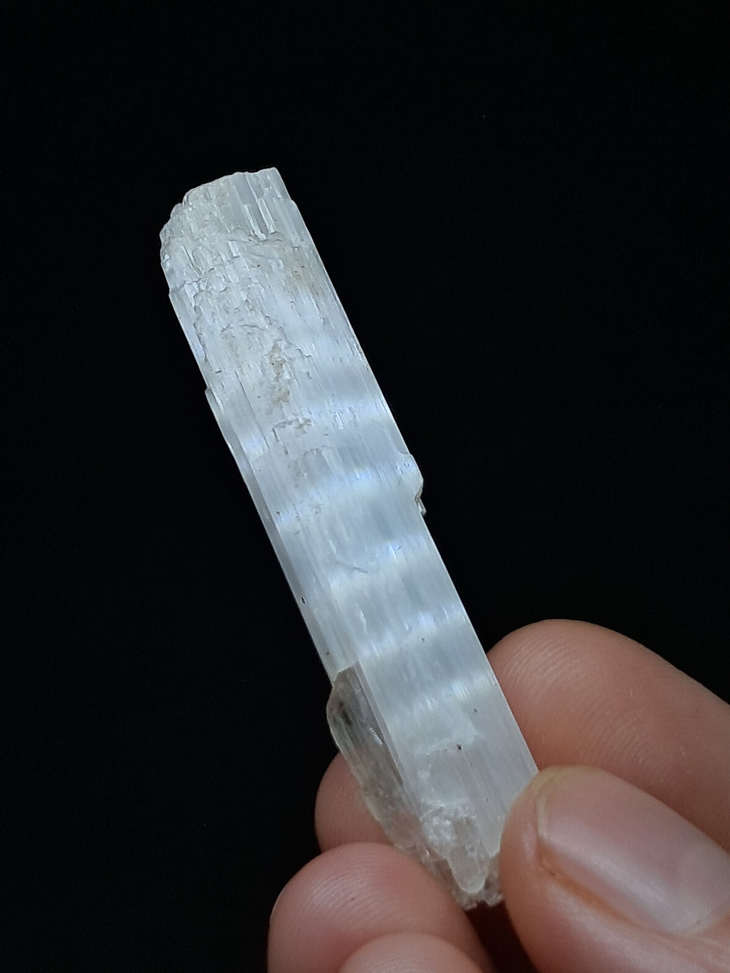 Satin Spar *Selenite* (India) Fibrous Gypsum | Mineral Specimen | Rough Crystal #SE7