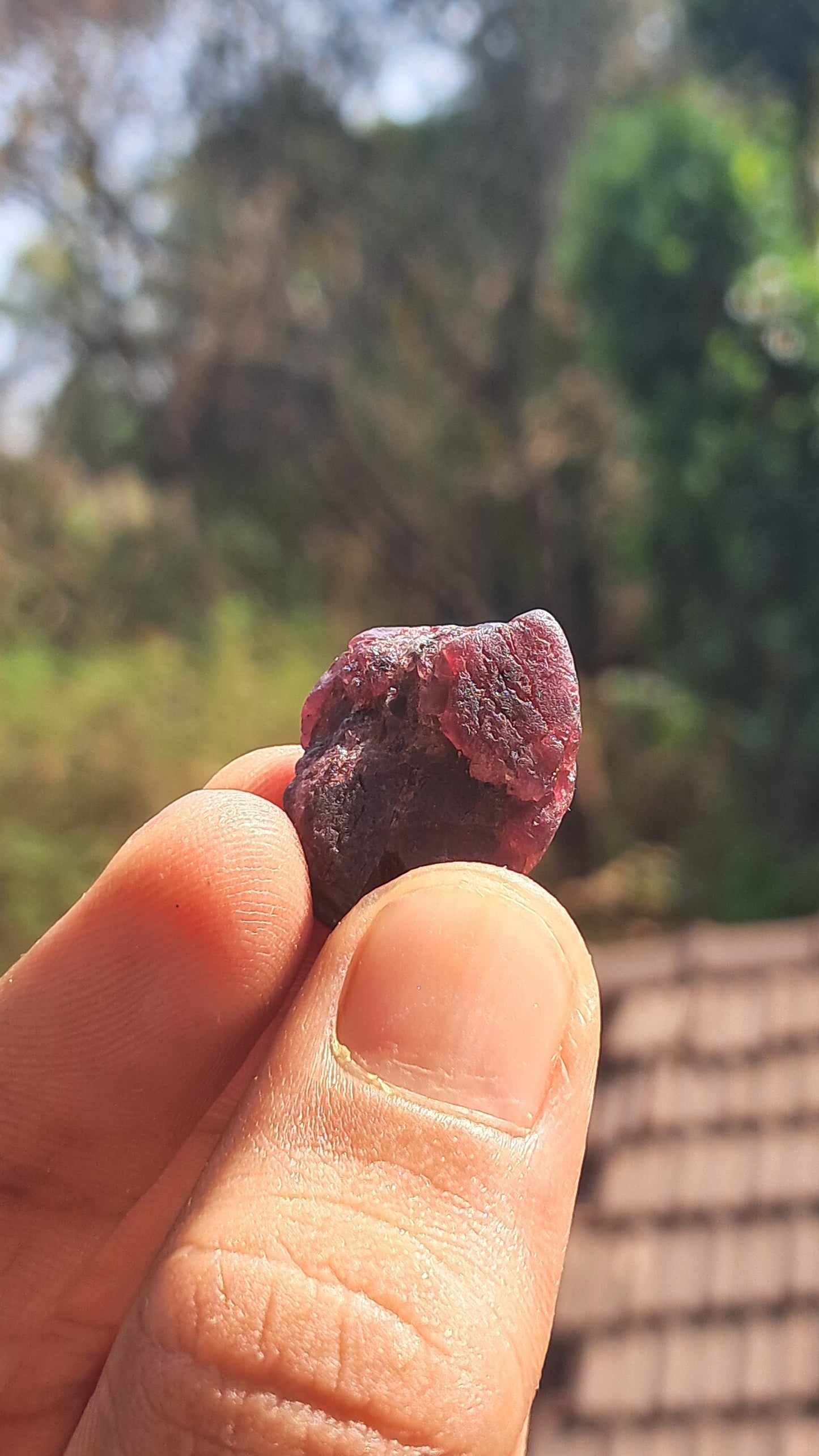 Granate rojo (Karur) | Pulido por el río | Piedra natural #RG10