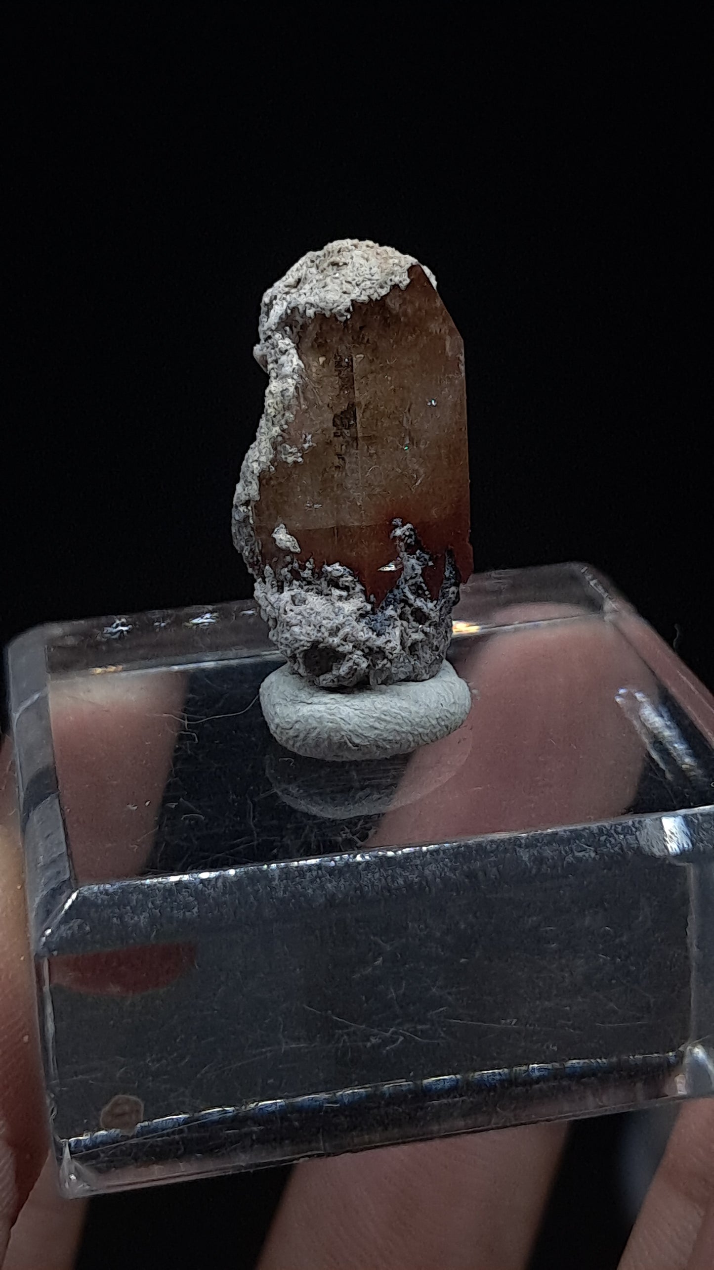 Natural Topaz Crystal (Mexico) Orange Champagne Colour zoning | Rare Gemstone | Mineral Specimen #TPZ42