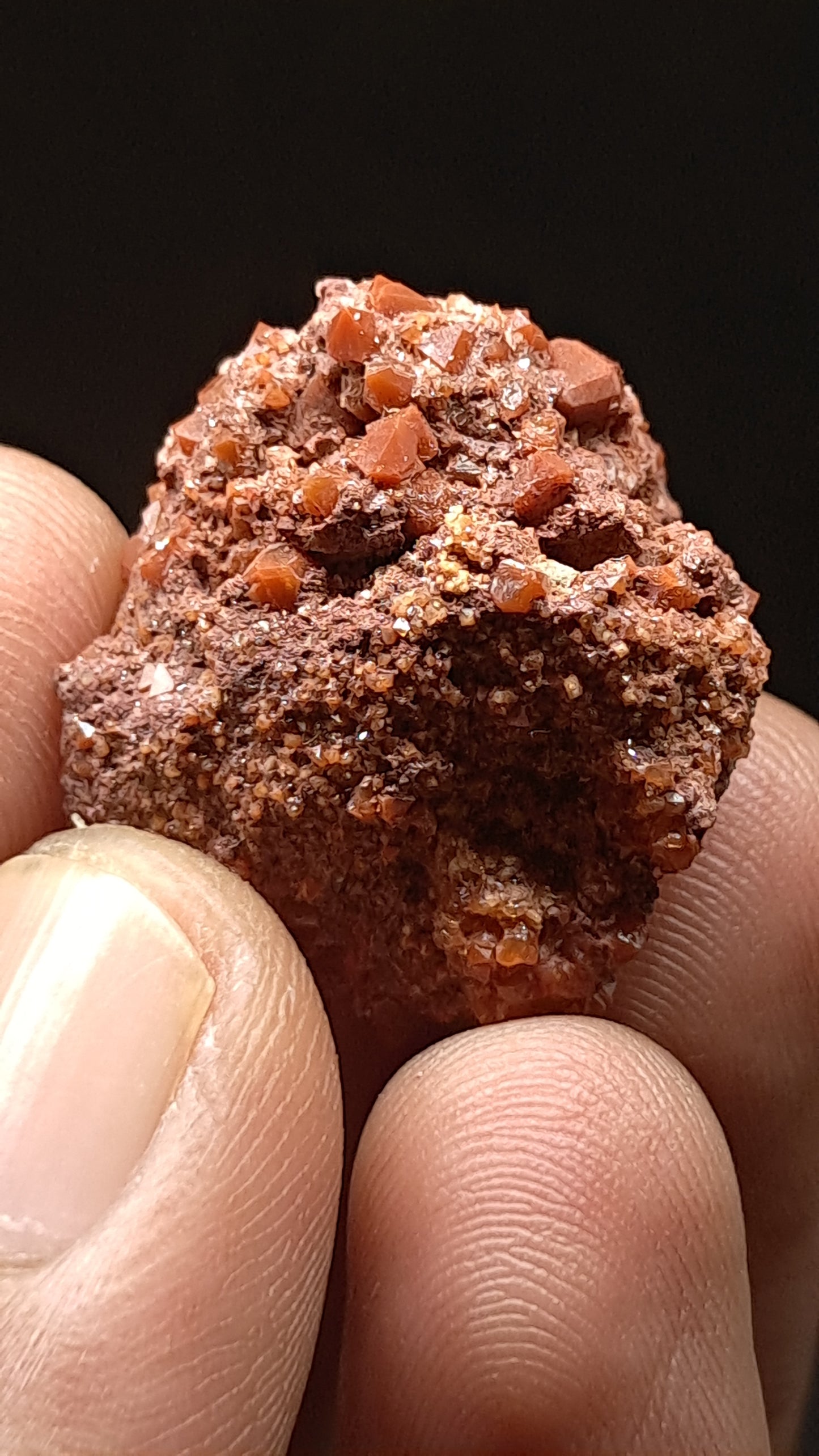 Jacinto de Compostela Quartz On Matrix | Natural Crystal | Mineral Specimen #JCQ9