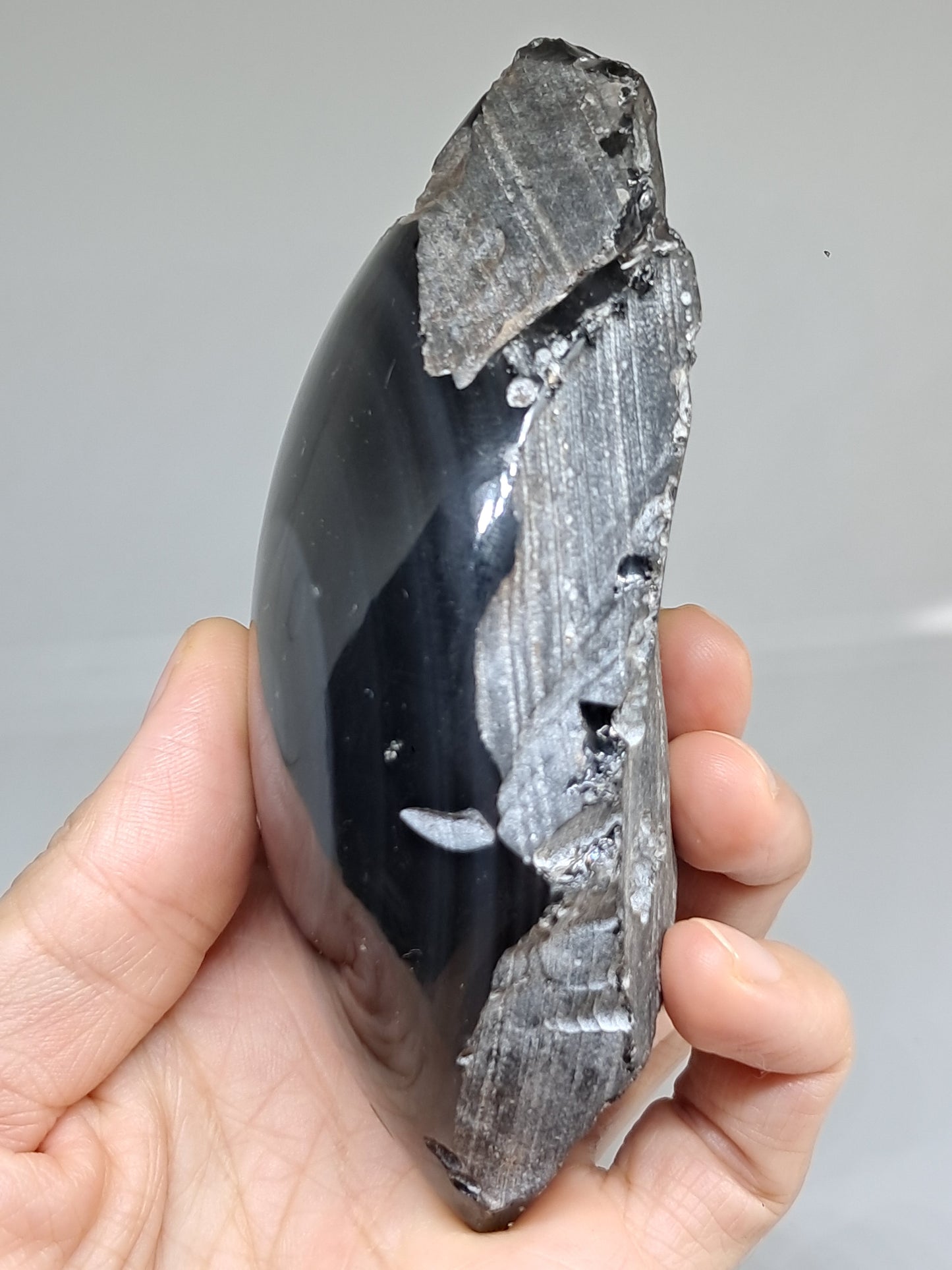 Rainbow Obsidian (Mexico) Natural Stone | Half Polished Half Rough #RO7