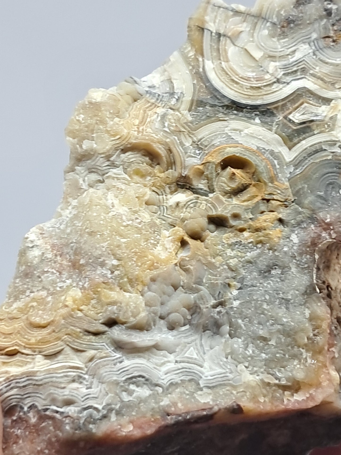 Crazy Lace Agate Rough | Natural Stone | Mineral Specimen #CLA4