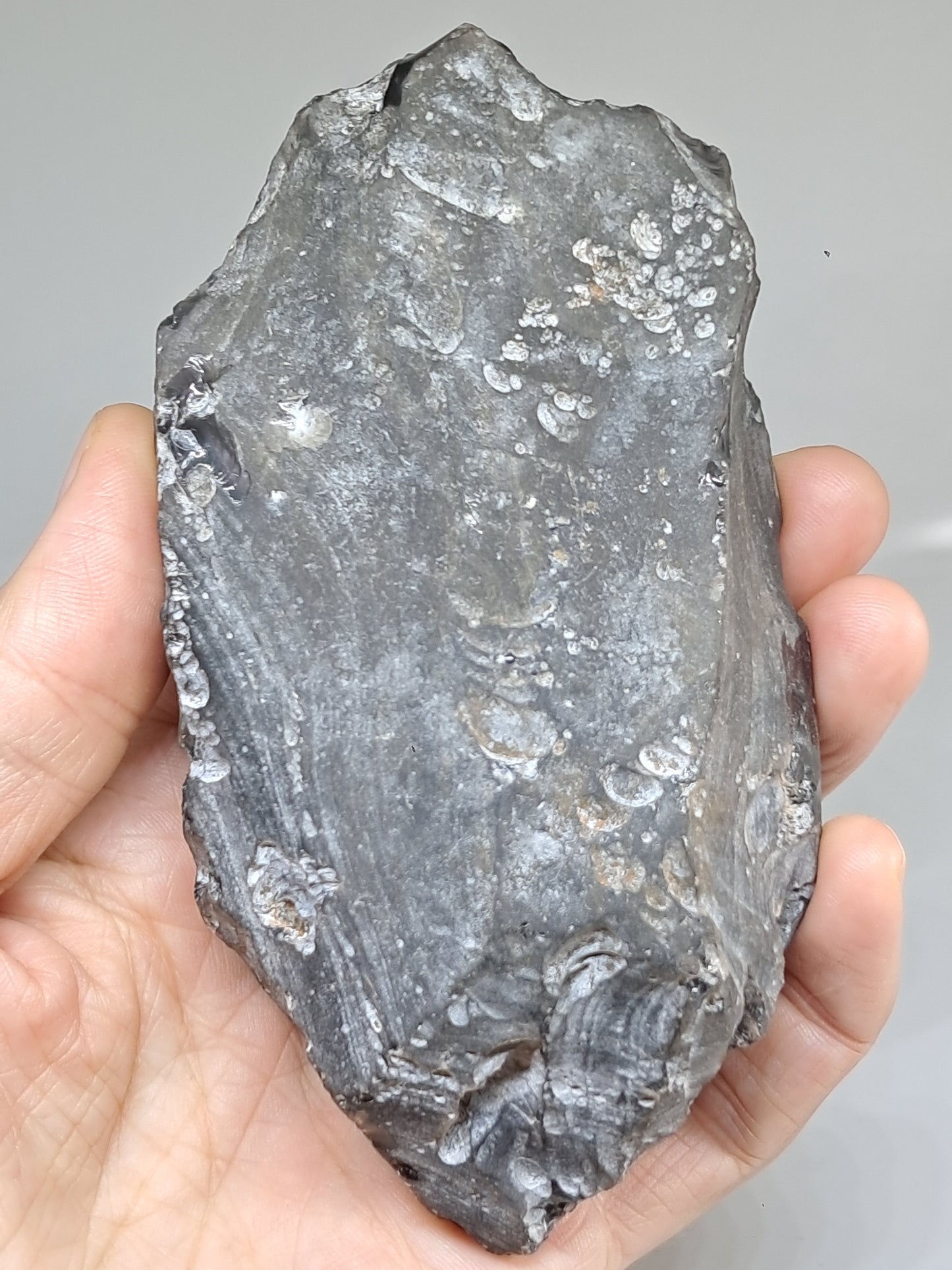 Rainbow Obsidian (Mexico) Natural Stone | Half Polished Half Rough #RO7