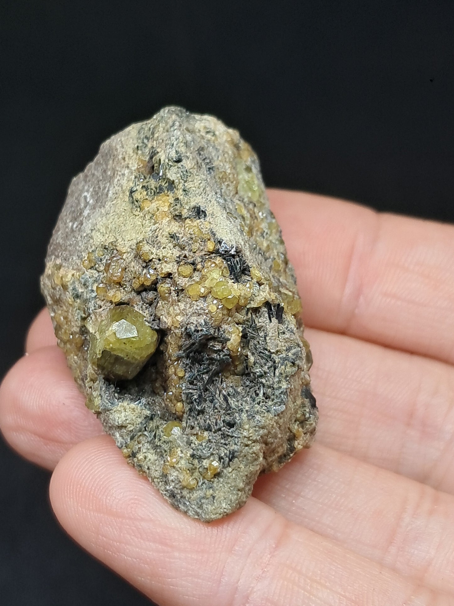 Green Garnet w/ Aegirine (Acmite) on Matrix (Mexico) Andradite Garnet Cluster |Rough Crystal Stone | Mineral Specimen #GR31