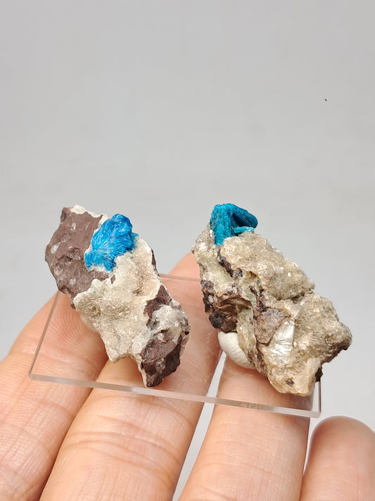 Set of Cavansite & Pentagonite on Matrix (Wagholi) Rough Stone | Natural Crystal | Rare Mineral Specimen #CV42