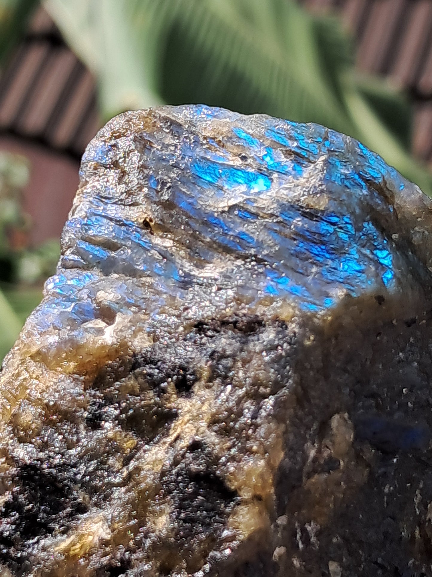 Labradorite Raw (Madagascar) | Strong Flash #LB5