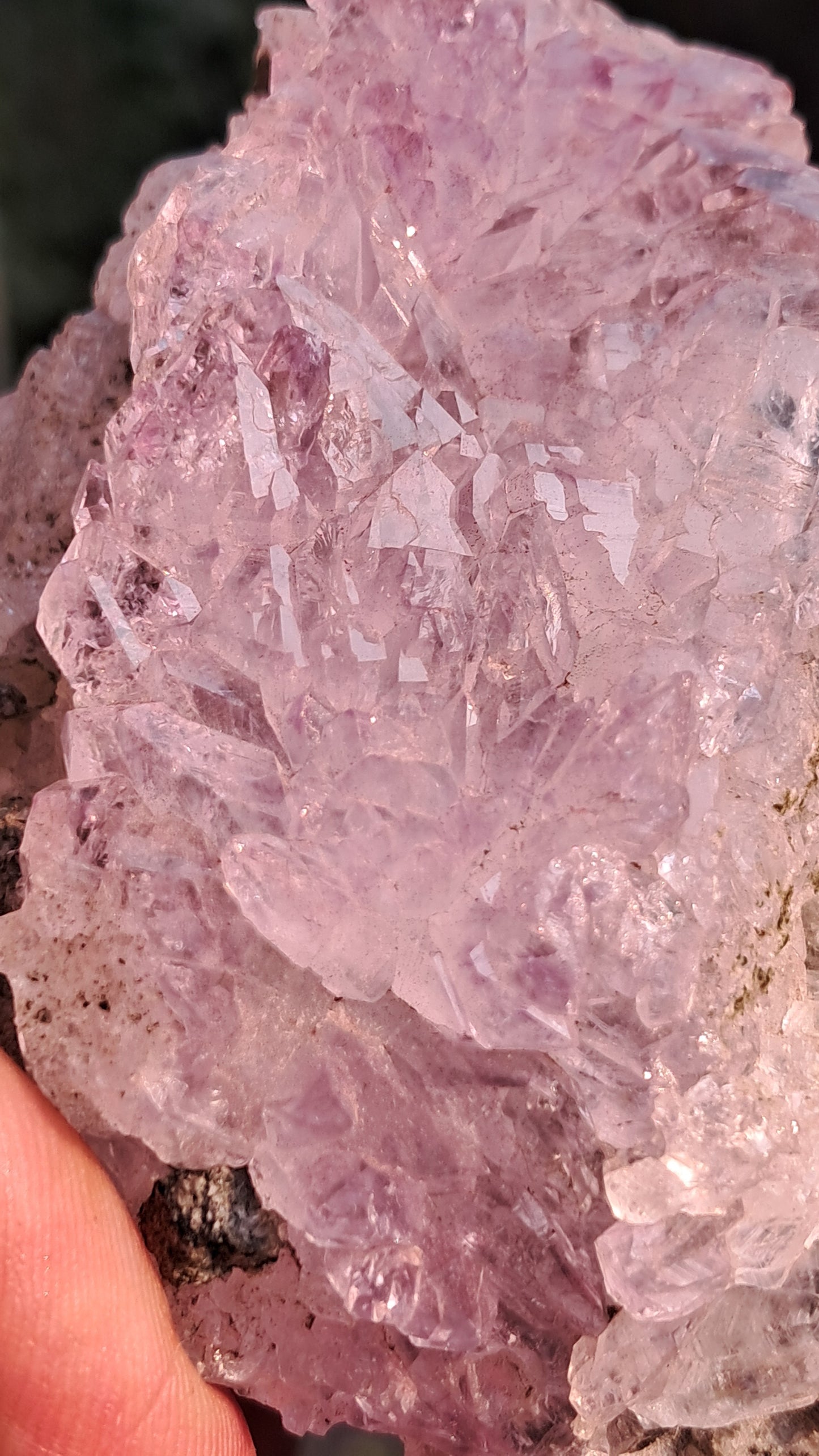 Amethyst Scepters on Basalt | Elestial Formation | Natural Crystal | Mineral Specimen #KA190