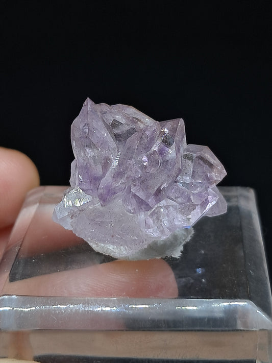 Amatista Brillante en Cetro (Karur) | Cristal en Bruto | Piedra Natural | Ejemplar Mineral #KA151