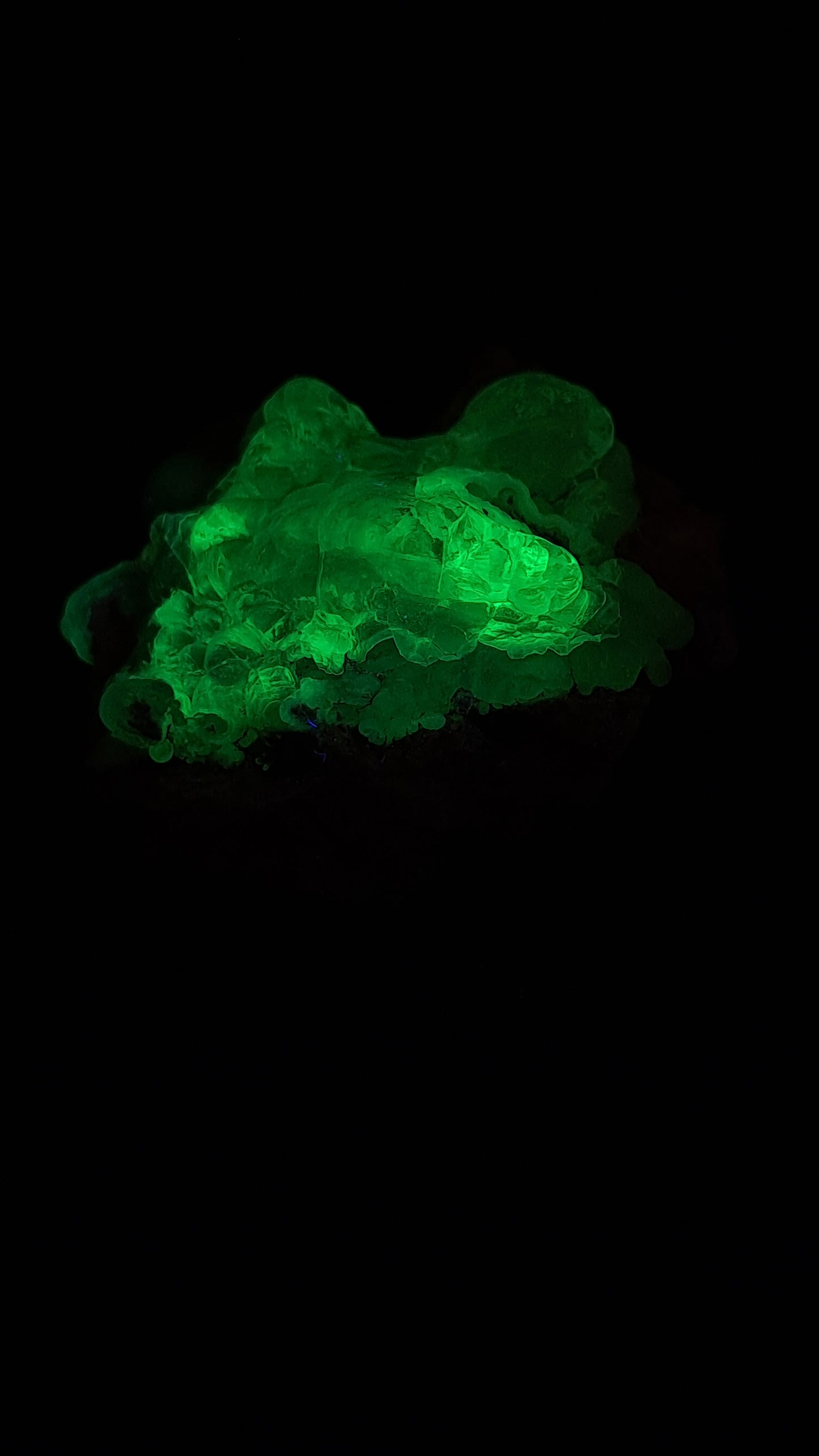 Hyalite Opal on Matrix (Mexico) Rough Crystal Stone | UV-Reactive Mineral Specimen #OH4