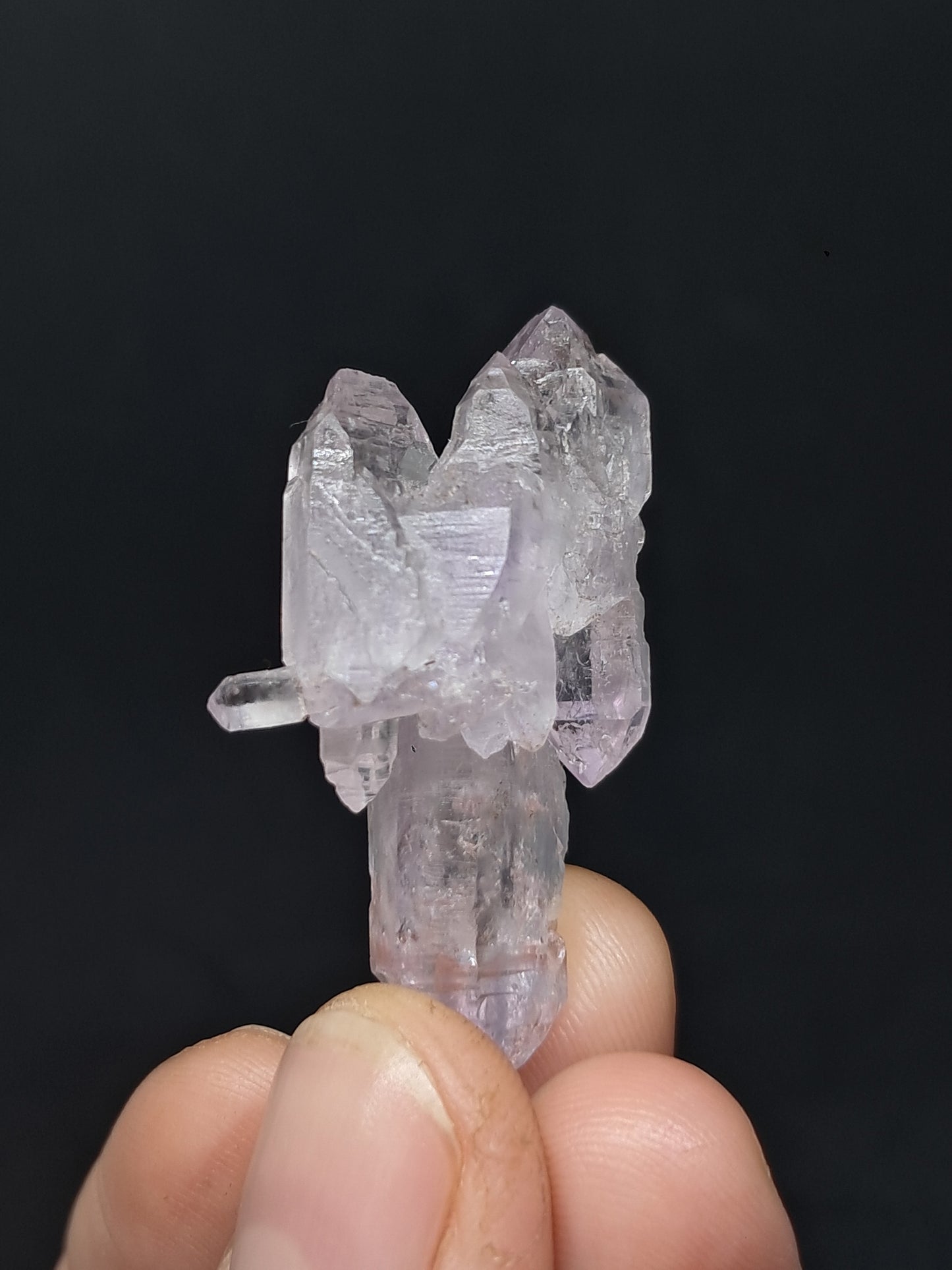 Veracruz Amethyst Elestial Scepter (Mexico) | Natural Crystal | Mineral Specimen #VA33