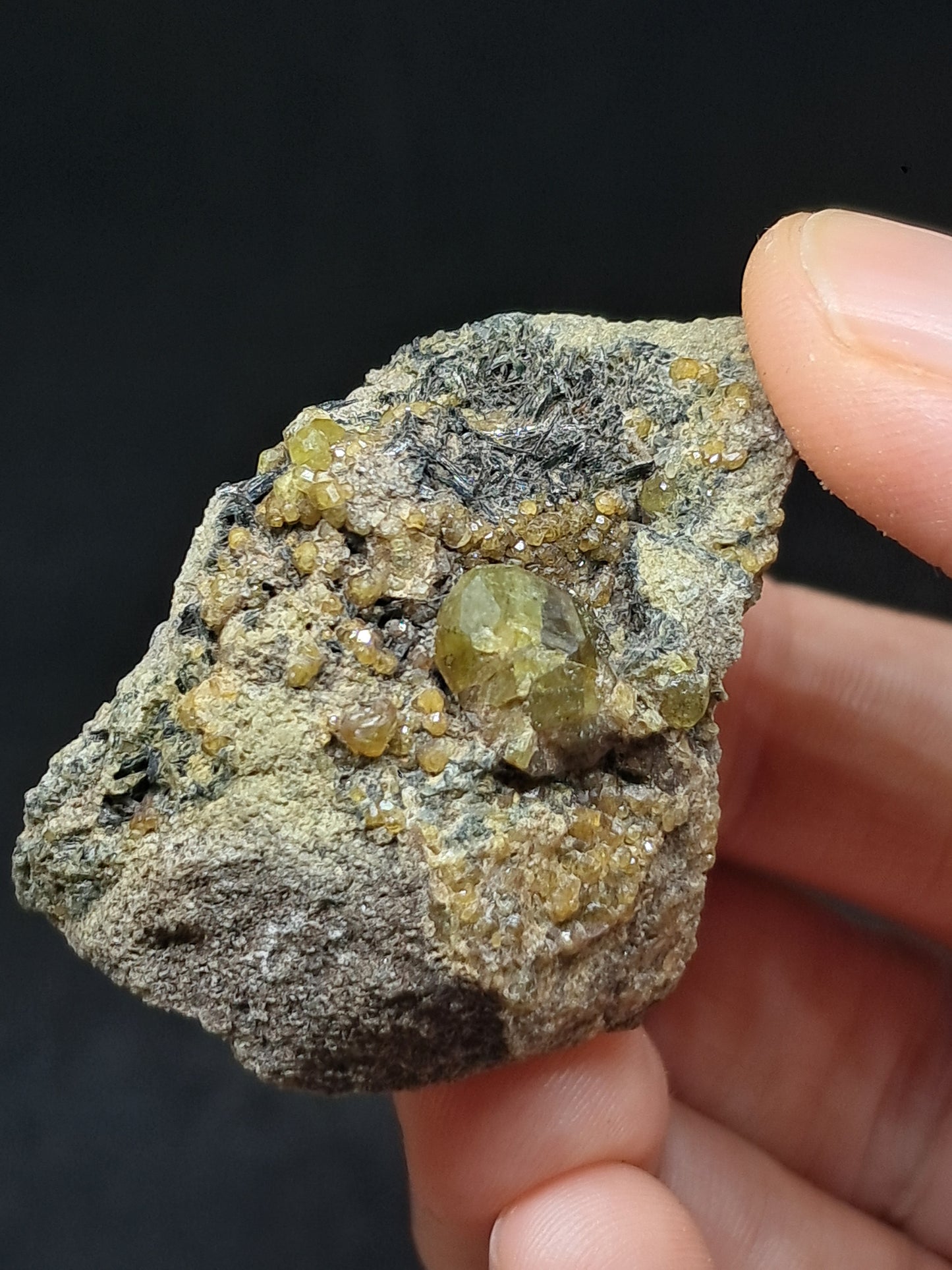 Green Garnet w/ Aegirine (Acmite) on Matrix (Mexico) Andradite Garnet Cluster |Rough Crystal Stone | Mineral Specimen #GR31