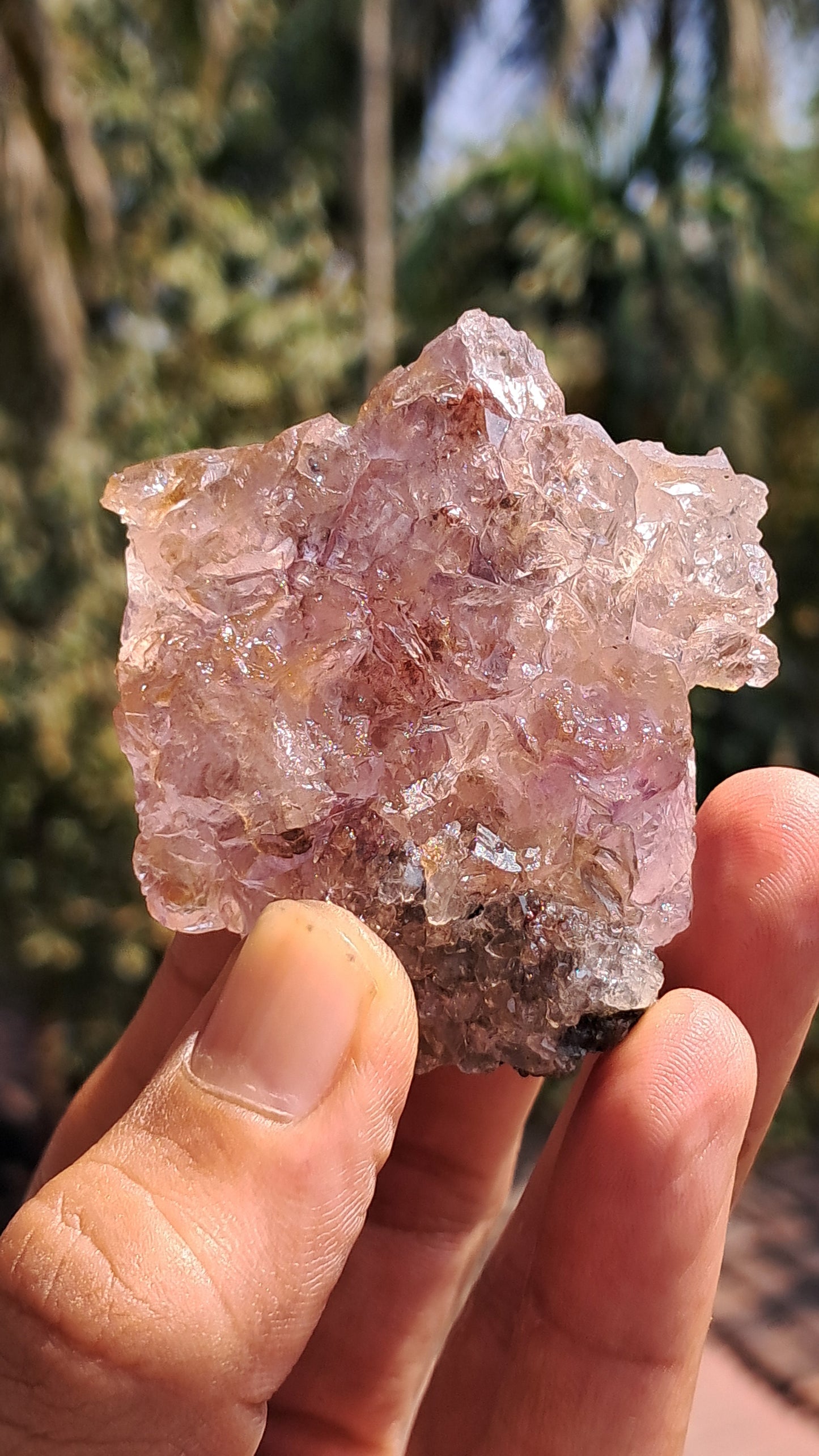 Amethyst Scepter Flower from Karur | Honeycomb Terminations | "Super Seven" inclusions | Mineral Specimen #KA185