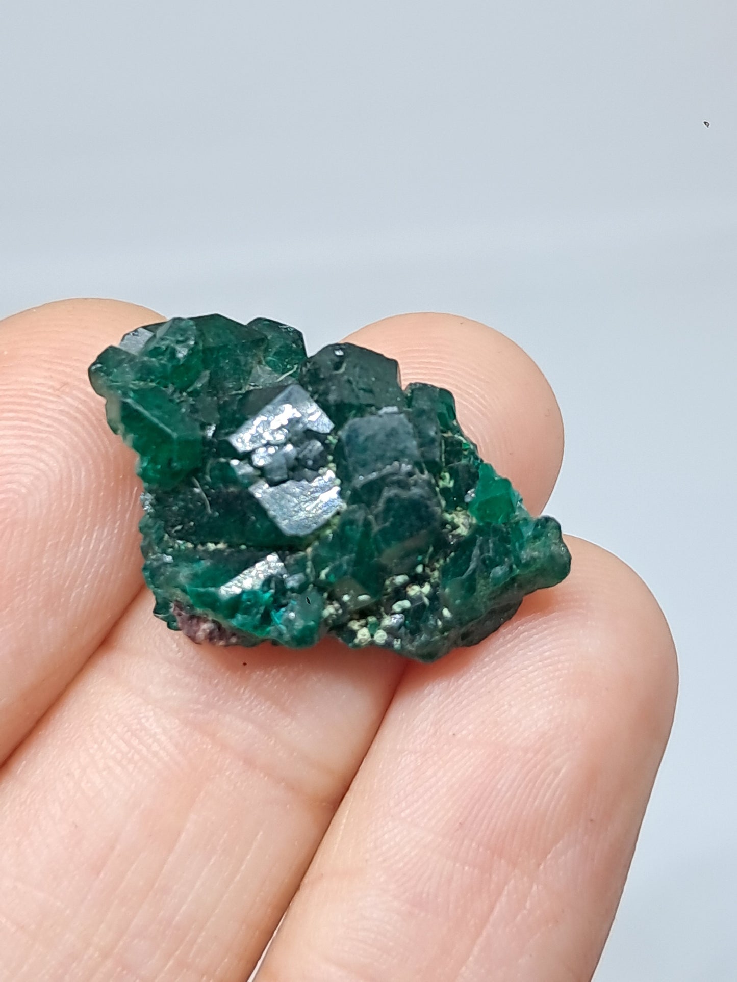 Cúmulo natural de dioptasa (República Democrática del Congo) | Cristal en bruto | Ejemplar mineral n.° DPT3