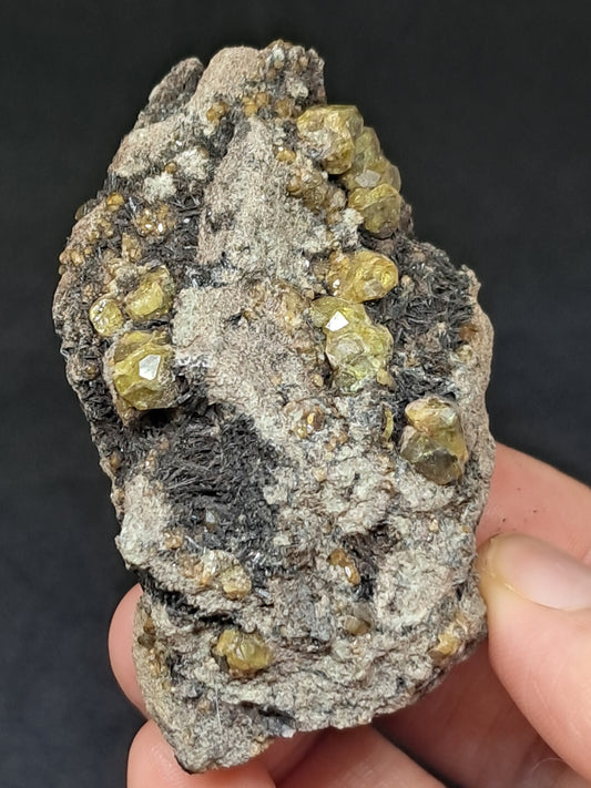 Green Garnet w/ Aegirine (Acmite) on Matrix (Mexico) Andradite Garnet Cluster |Rough Crystal Stone | Mineral Specimen #GR30