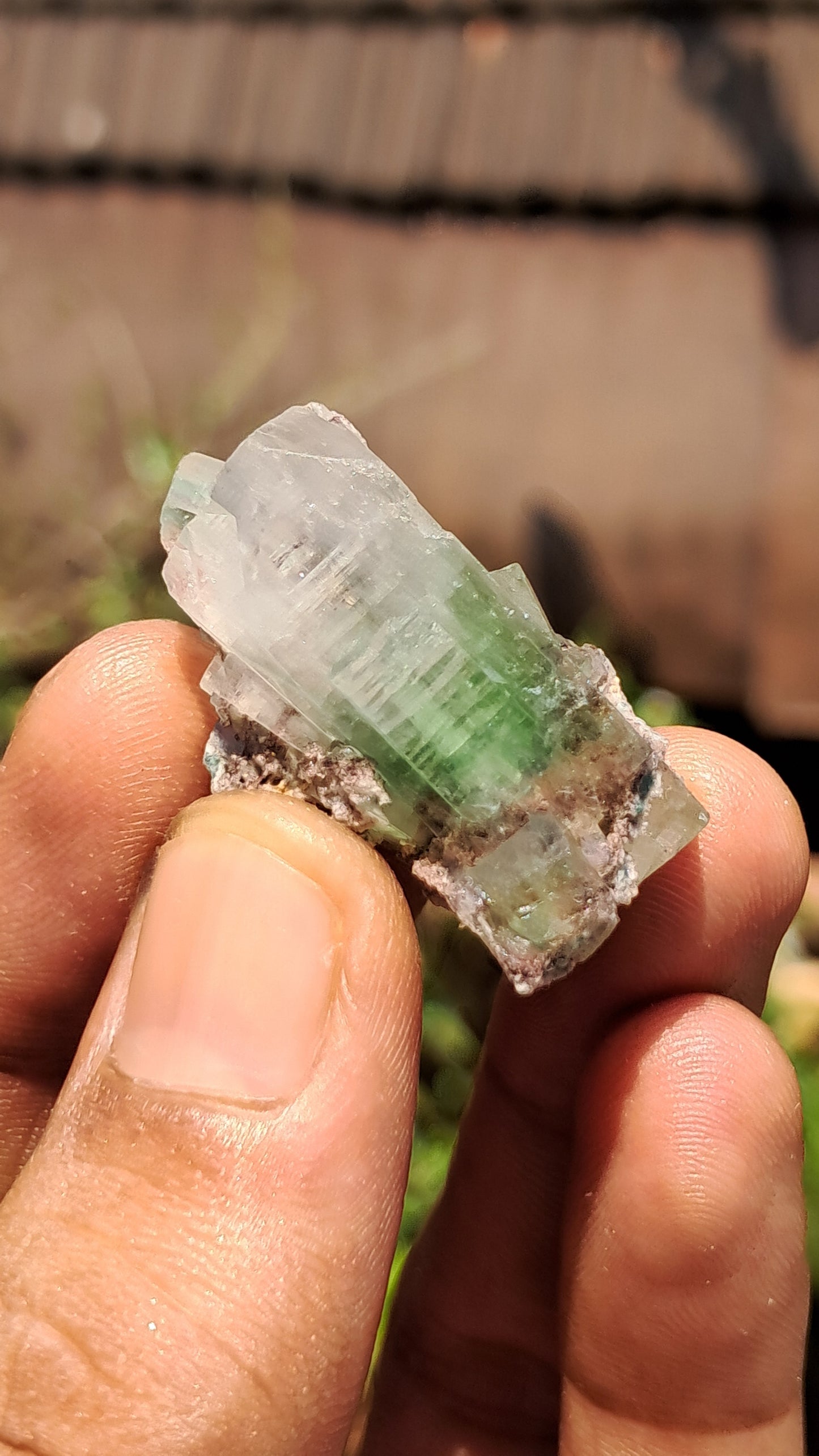 Green Apophyllite (Fluorapophyllite) on Matrix (Ajanta) Natural Crystal | Mineral Specimen #GA27