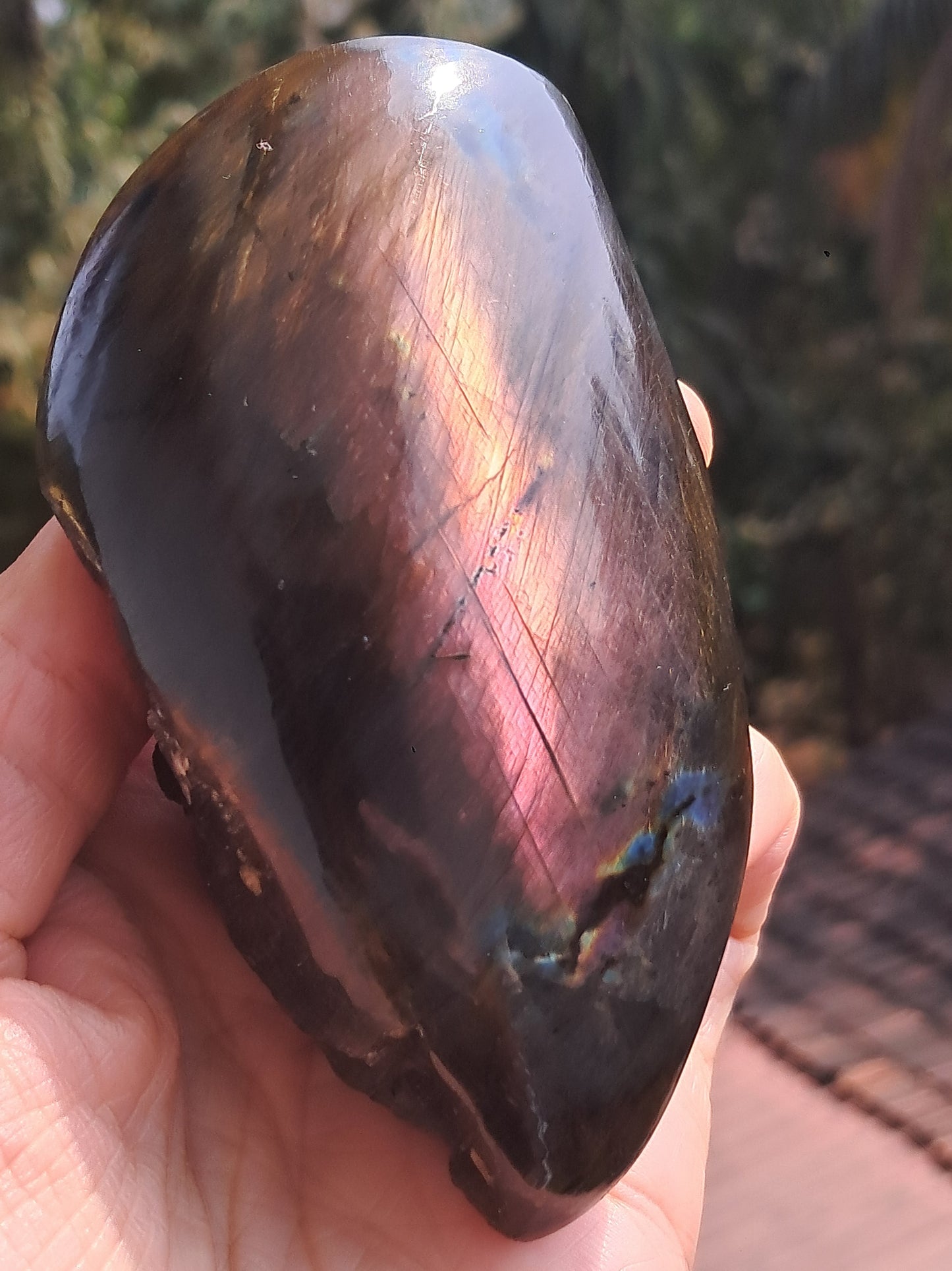 Labradorite |Natural Crystal | Half Polished Half Rough Stone | Purple Red Flash | Good Iridiscence #LB1