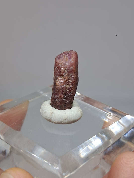Rough Ruby Crystal (Tamil Nadu) Natural Stone | Mineral Specimen #RB27