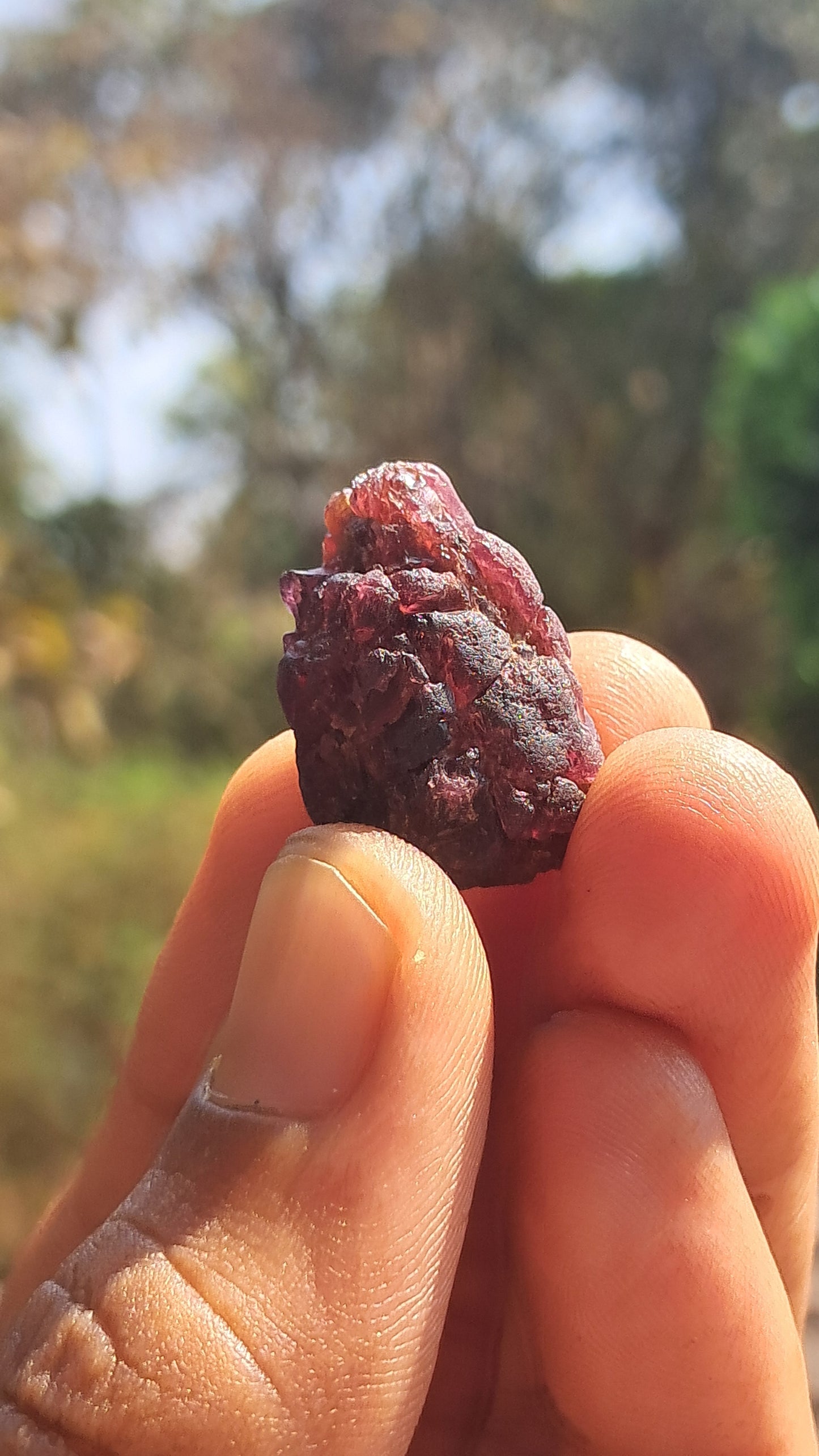 Red Garnet (Karur) | River worn | Natural Stone #RG3