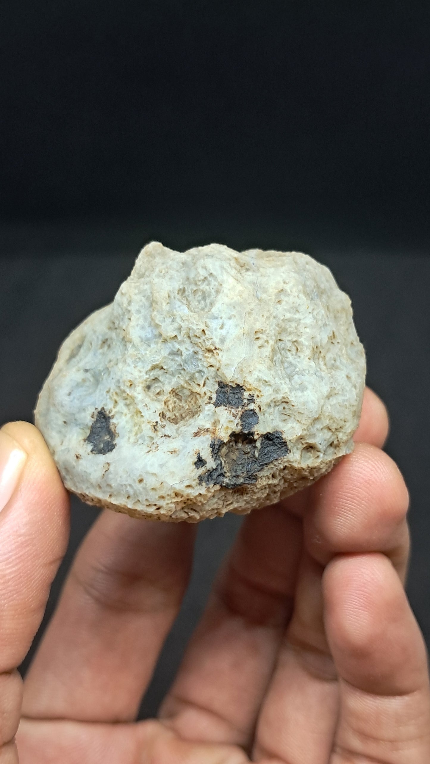 Amethyst Geode (Ajanta) | Deep Cavity | Natural Crystal | Rough Stone #GD34