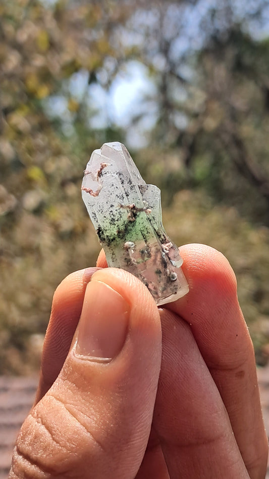 Green Apophyllite (Fluorapophyllite) (Ajanta) Natural Crystal | Mineral Specimen #GA26
