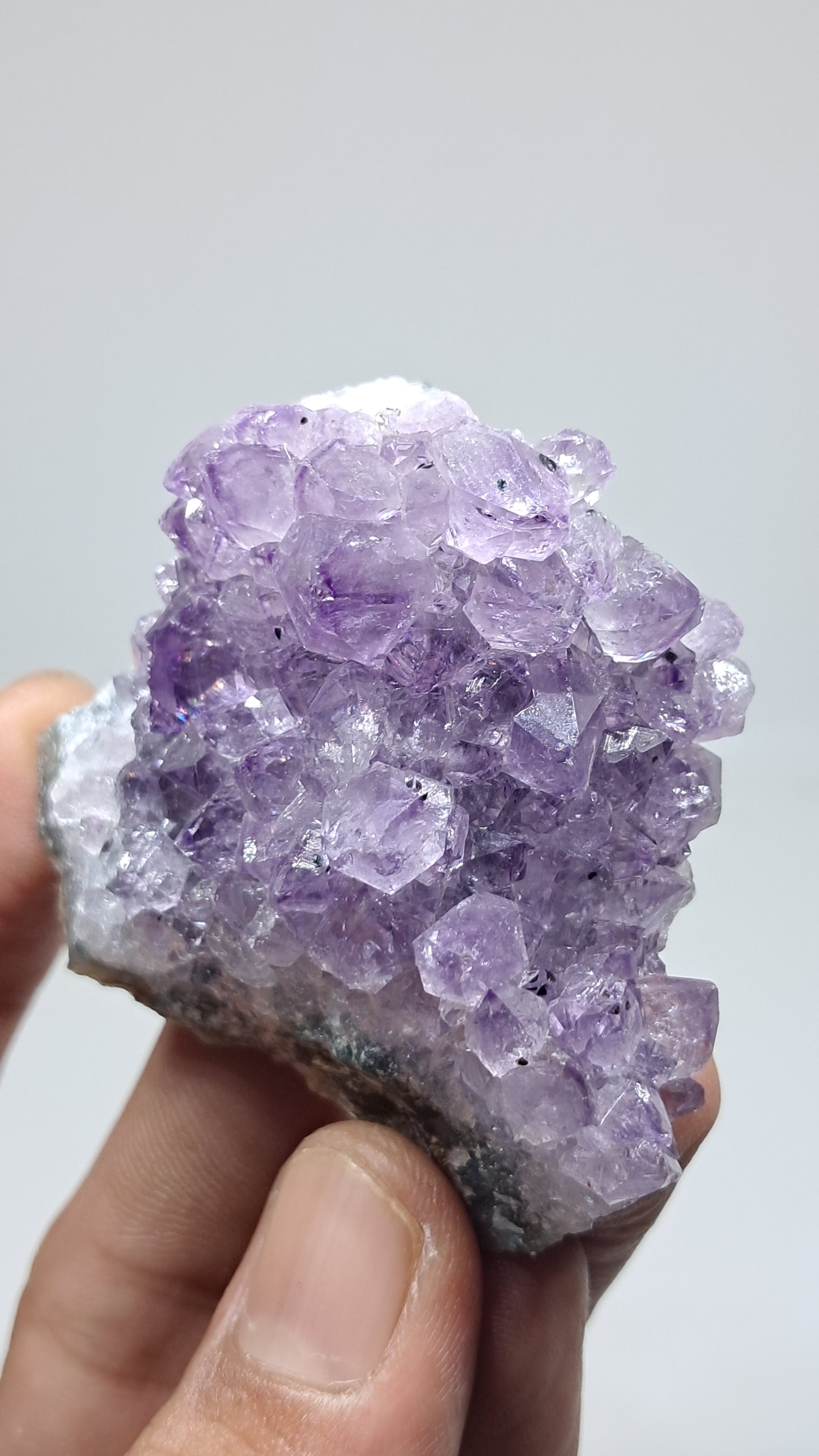 Amethyst Cluster (Brazil) | Natural Crystal | Mineral Specimen #AMB15
