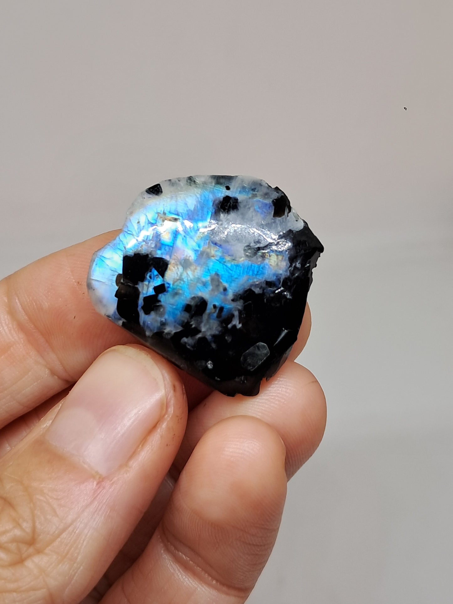 White Labradorite | Rainbow Moonstone *High Grade* (Tamil Nadu) Rough & Polished Stone | Natural Rock #MN21