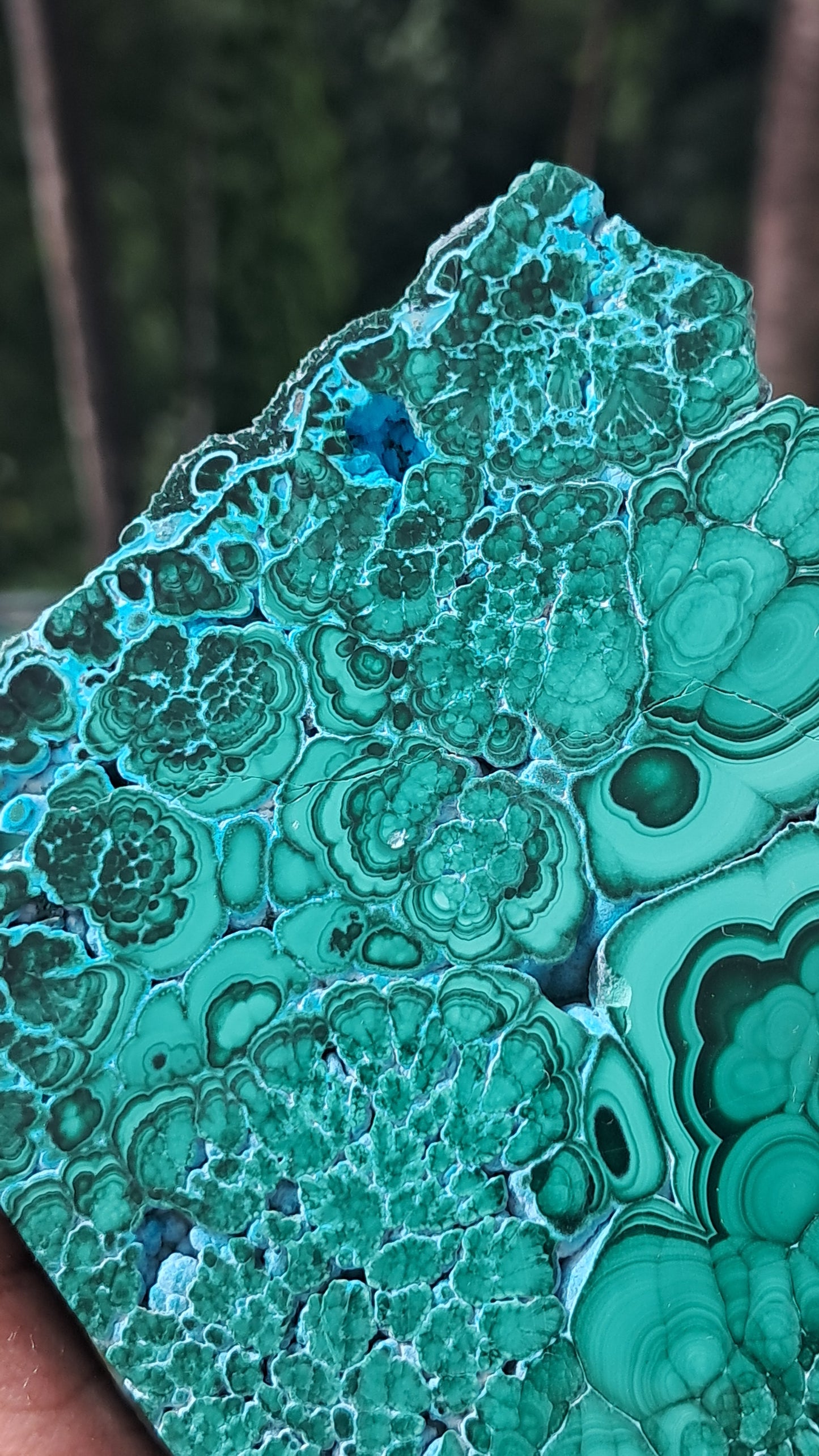 Malachite w/ Chrysocolla | Half Polished Half Rough | Natural Stone | Large Size | Beautiful Patterns #CM27