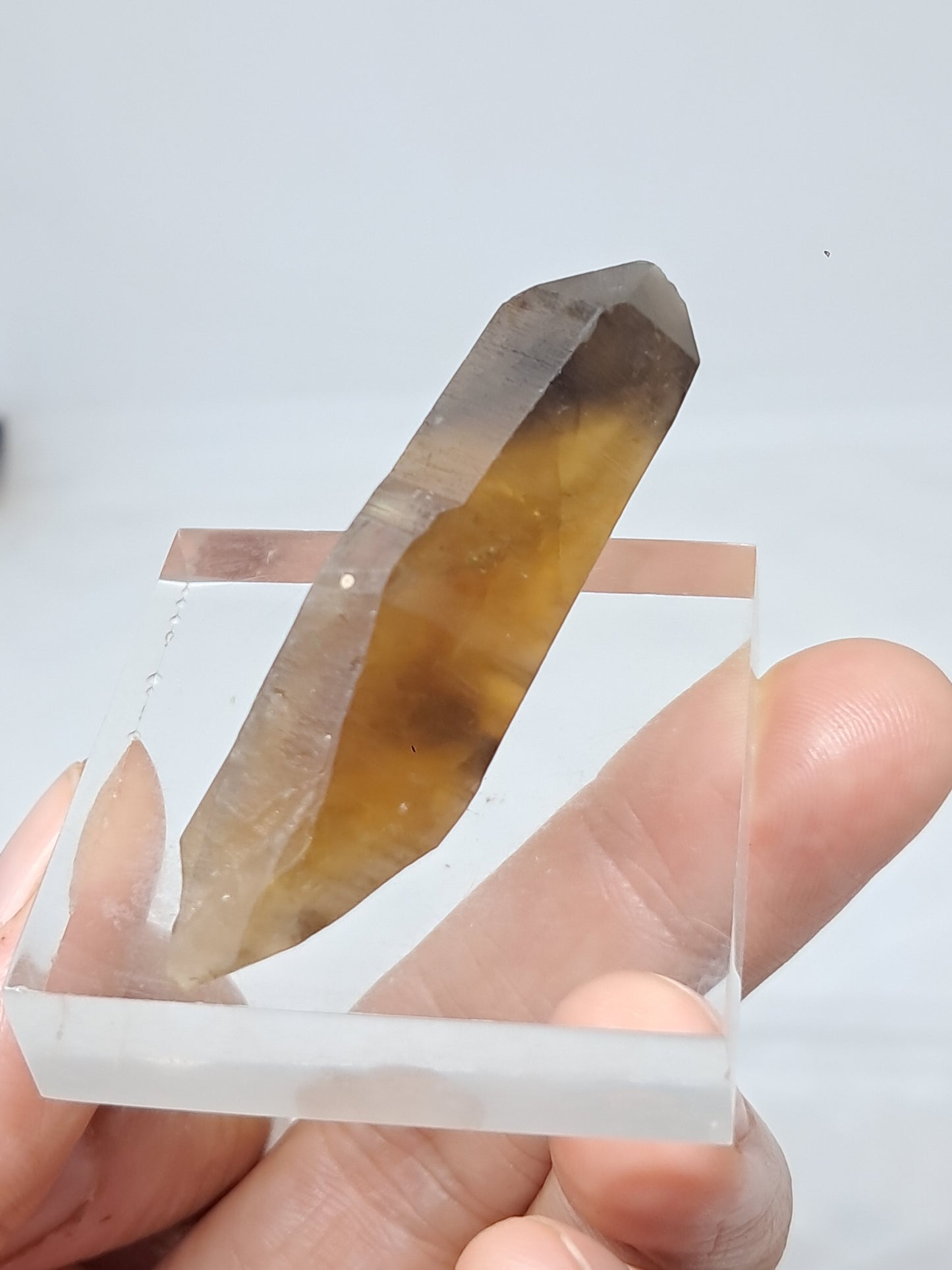 Natural Citrine Crystal Point w/ Self-Healed Termination (Democratic Republic of Congo) #CTN30