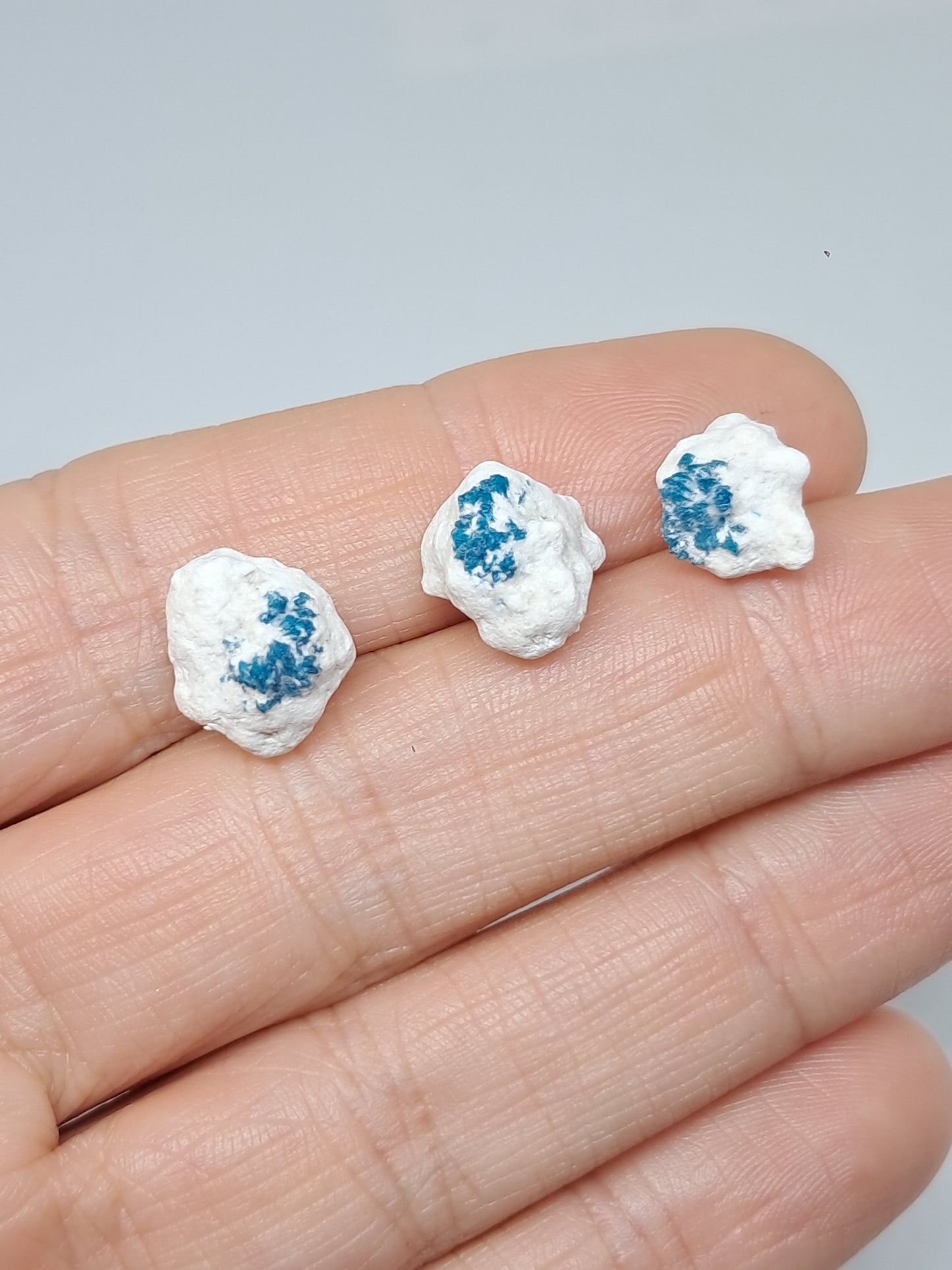 Conjunto de 3 pequeñas cavansitas en matriz de okenita (wagholi) en bruto | Cristal natural | Ejemplar mineral raro n.° CV38
