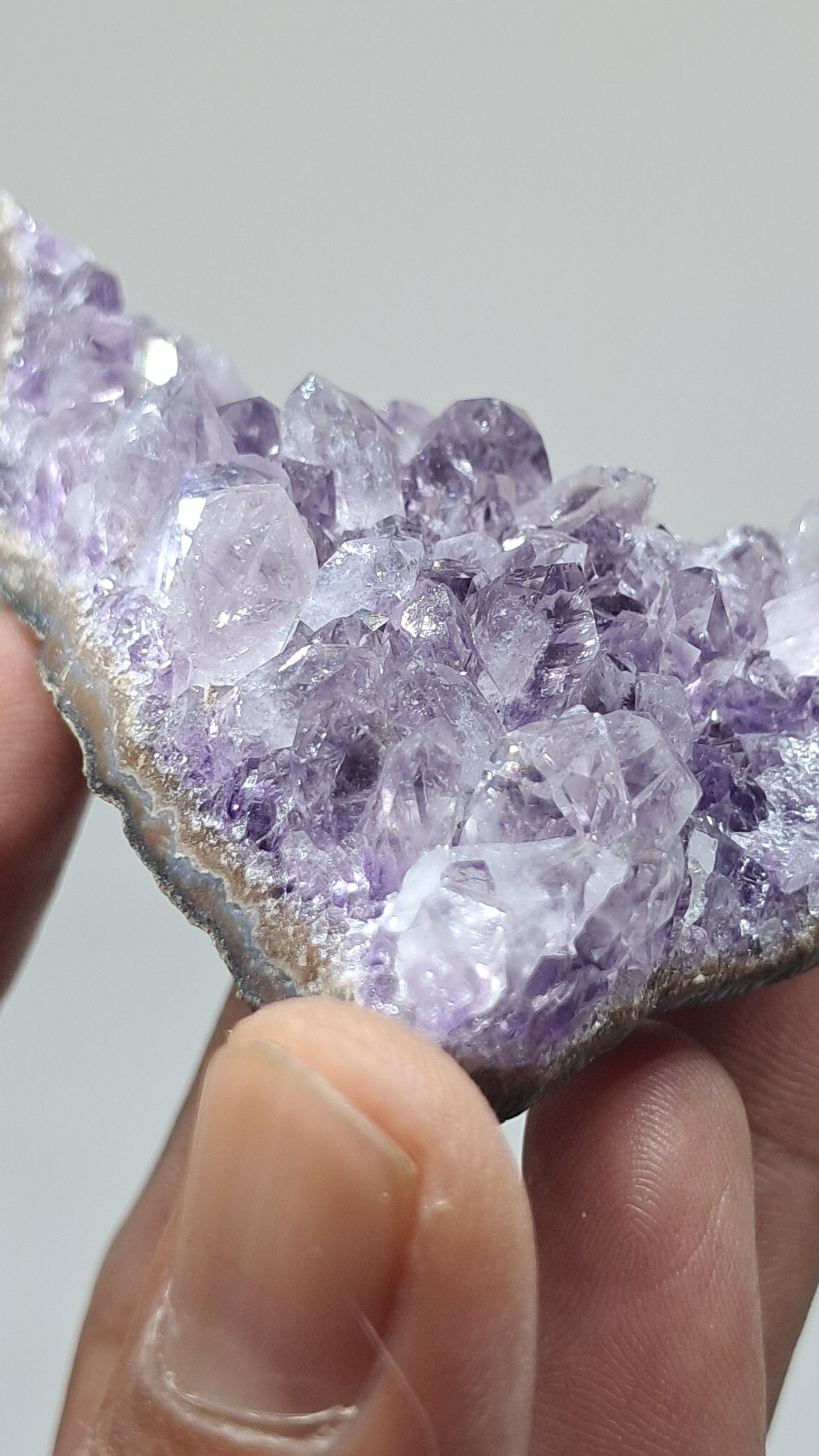Amatista Morada Profunda (Brasil) | Drusa Natural | Mineral de Colección #AMB5