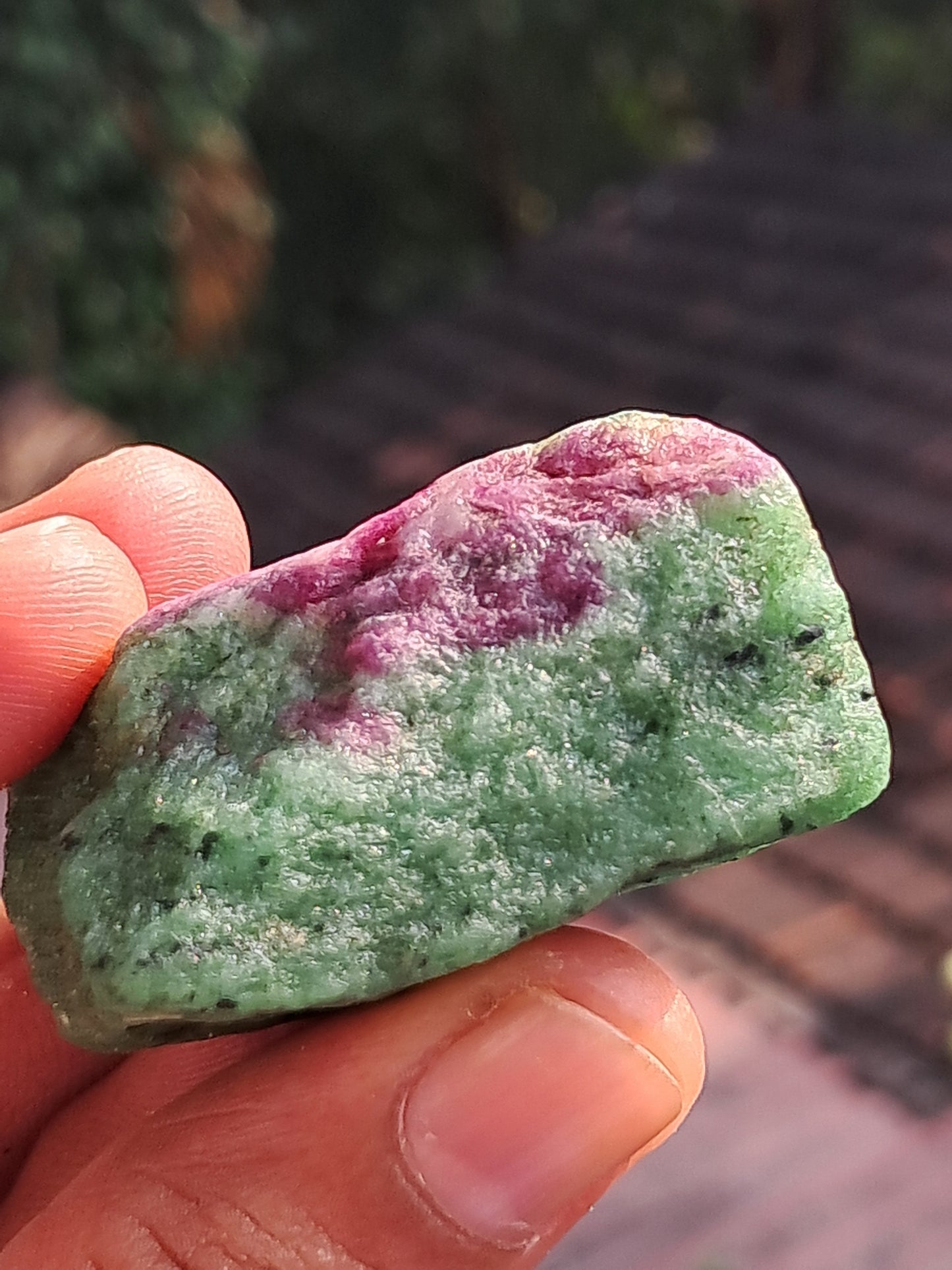 Ruby Zoisite w/ Hornblende (Tanzania) Rough Stone | Natural Specimen #RZ10