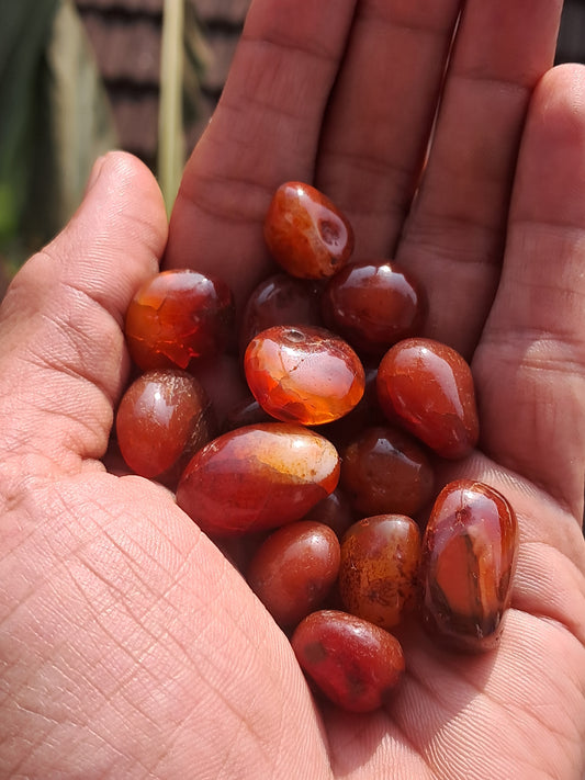 Tumbled Carnelian (India) Polished Natural Stone #CRN7