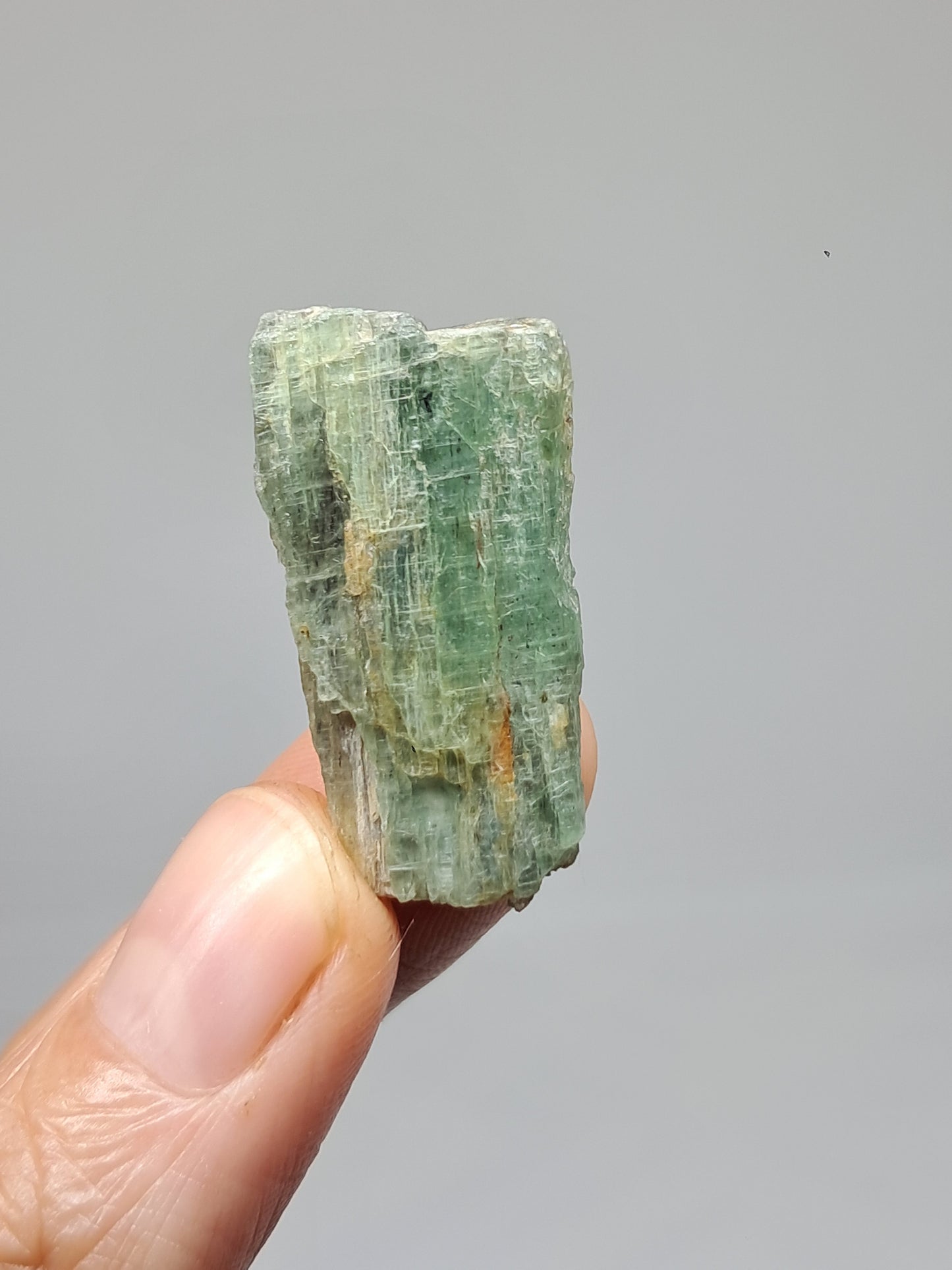 Green Kyanite (Tamil Nadu) Natural Crystal #KY8