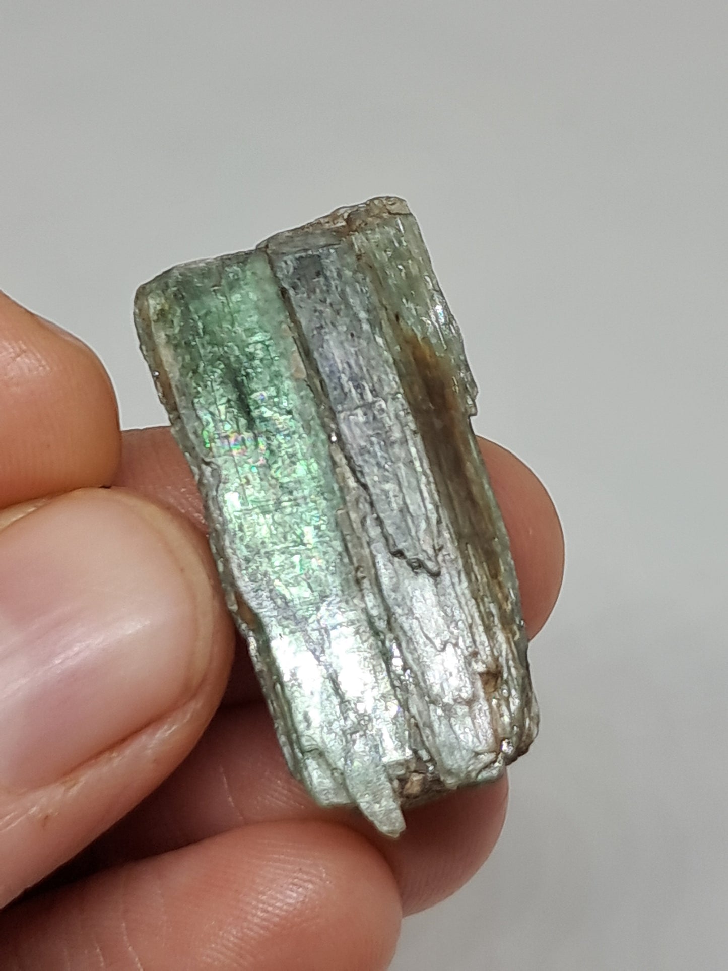 Green Kyanite (Tamil Nadu) Natural Crystal #KY8