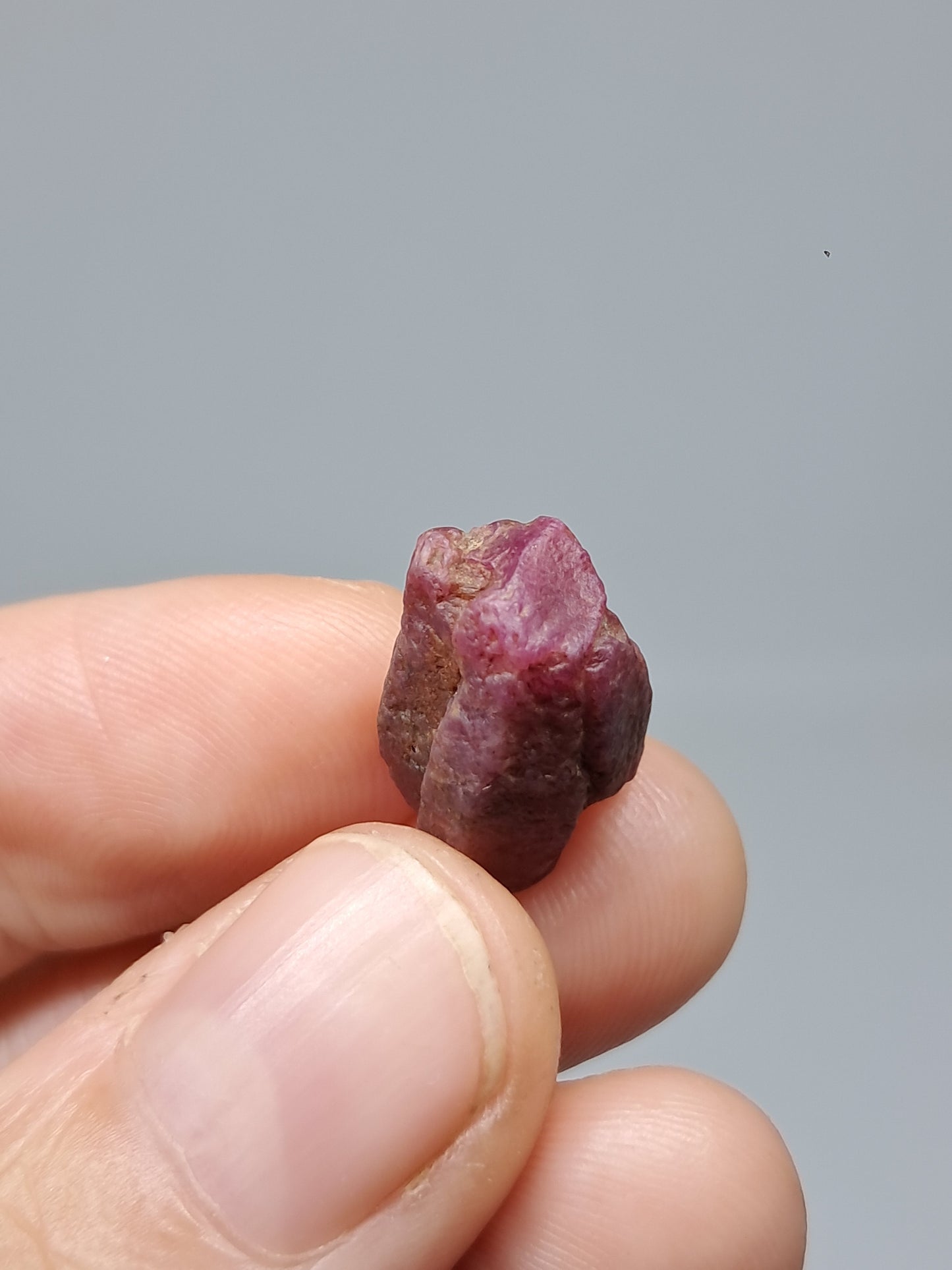 Cristal de rubí en bruto (Tamil Nadu) Piedra natural | Muestra mineral #RB22