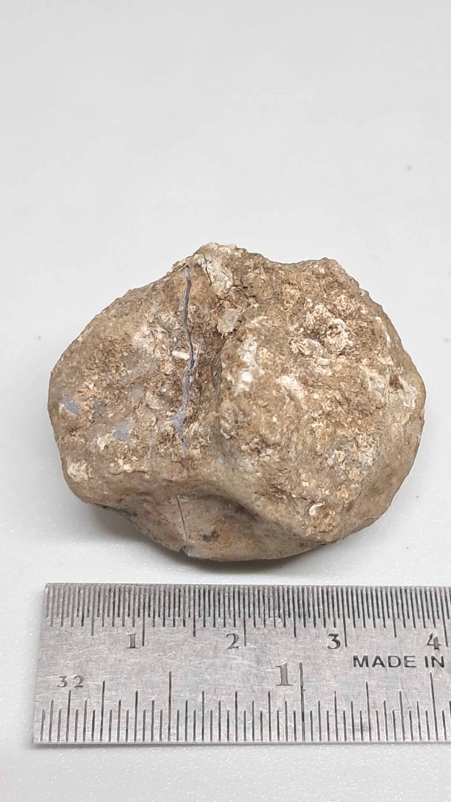 Geoda de amatista (Ajanta) | Cavidad profunda | Cristal natural | Piedra en bruto #GD29