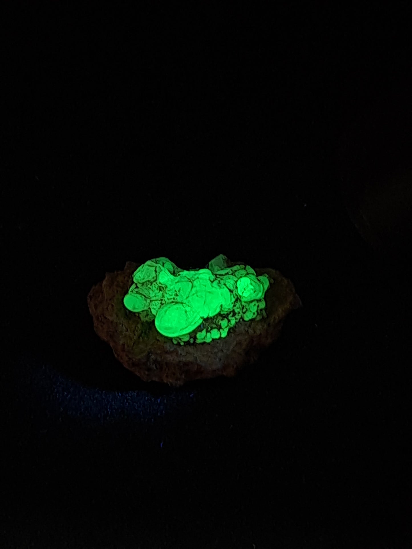 Hyalite Opal on Matrix (Mexico) Rough Crystal Stone | UV-Reactive Mineral Specimen #OH12