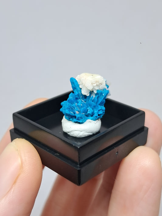 Pentagonite w/ Stilbite (Pune) Rough Stone | Natural Crystal | Rare Mineral Specimen #CV53