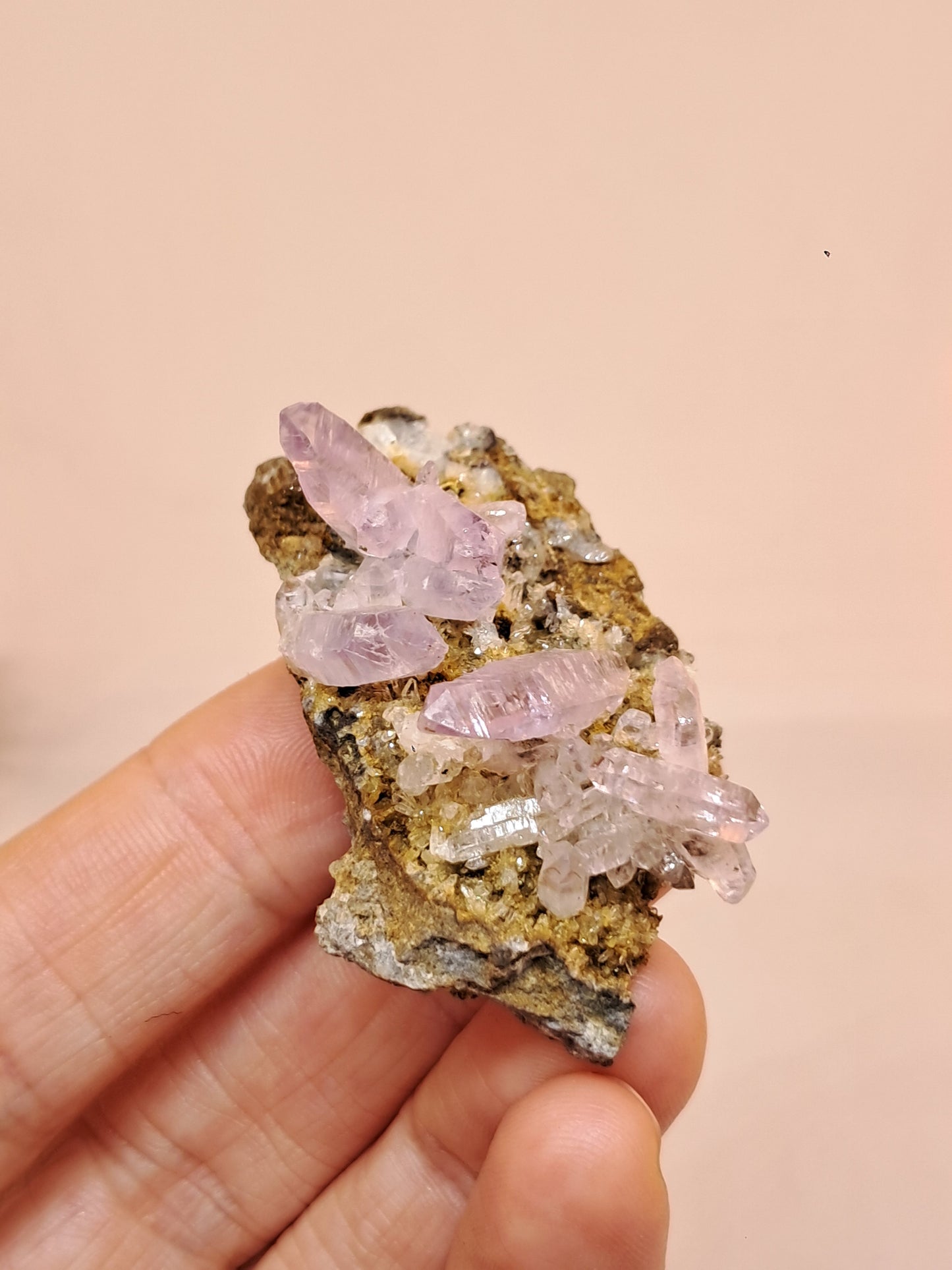 Veracruz Amethyst Crystals on Matrix (Mexico) | Natural Cluster | Mineral Specimen #VA20