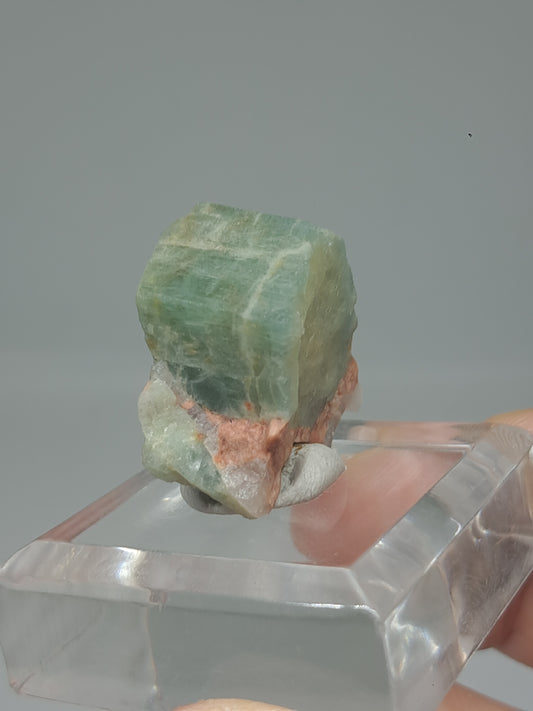 Aquamarine on Matrix (Karur) Rough Natural Crystal | Mineral Specimen #AQM49