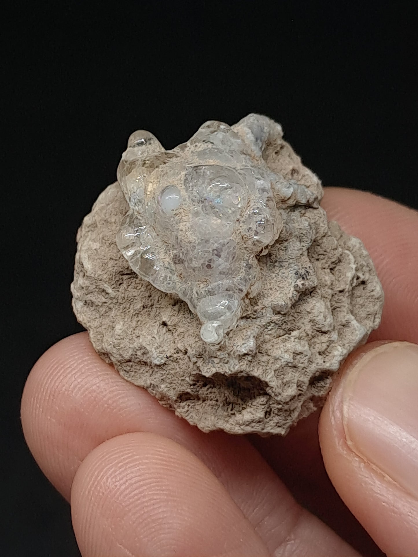 Hyalite Opal on Matrix (Mexico) Rough Crystal Stone | UV-Reactive Mineral Specimen #OH10