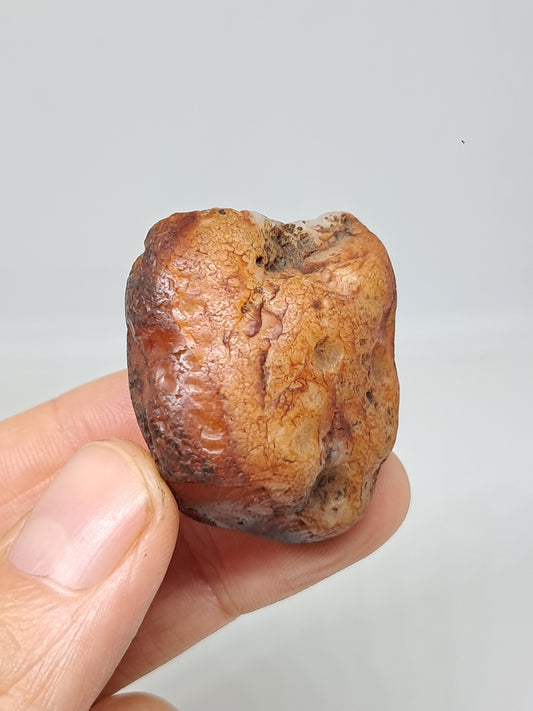 Cornalina en bruto (India) Piedra en bruto | Cristal natural | Espécimen mineral #CRN31