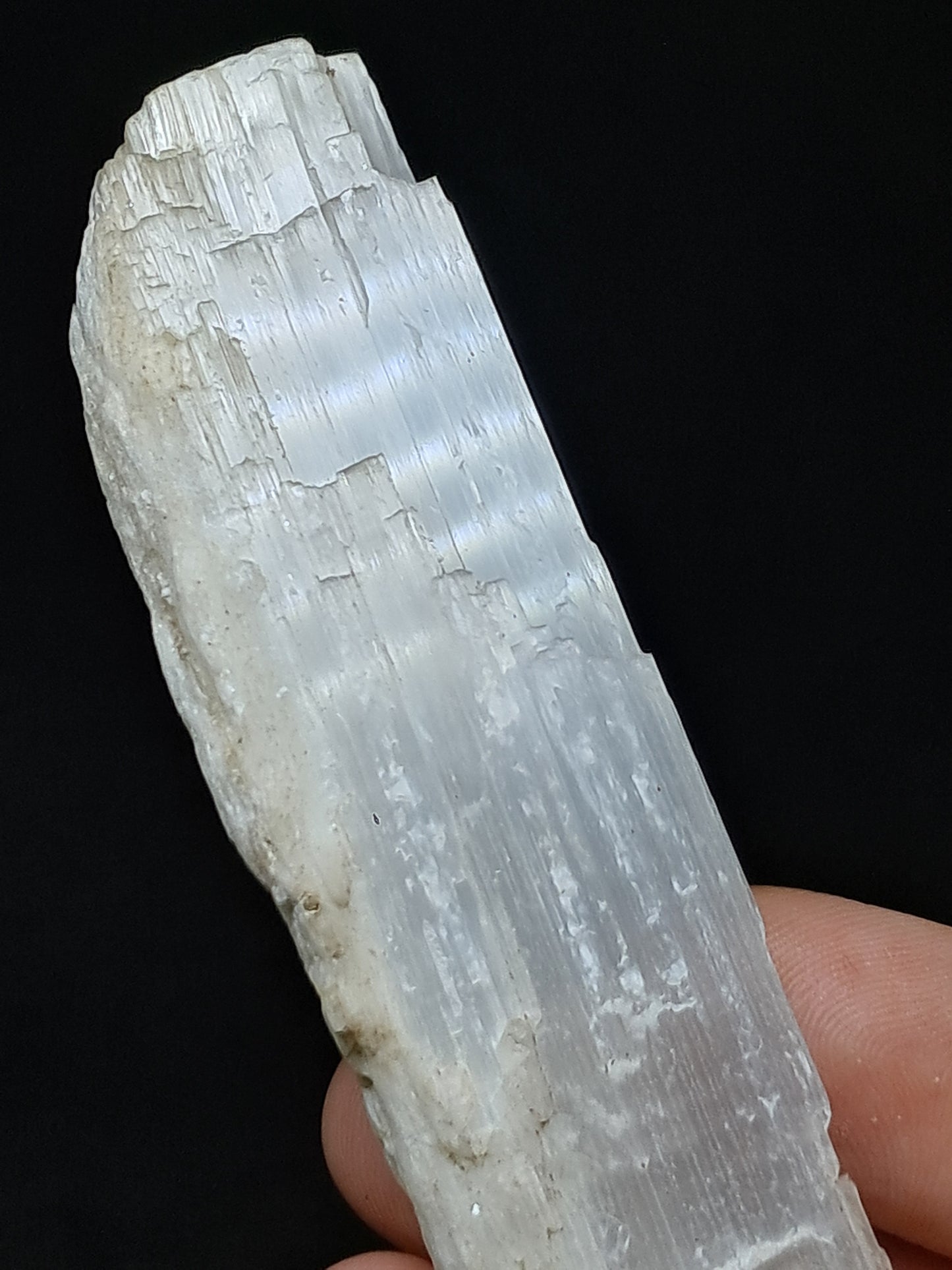 Satin Spar *Selenite* (India) Fibrous Gypsum | Mineral Specimen | Rough Crystal #SE2