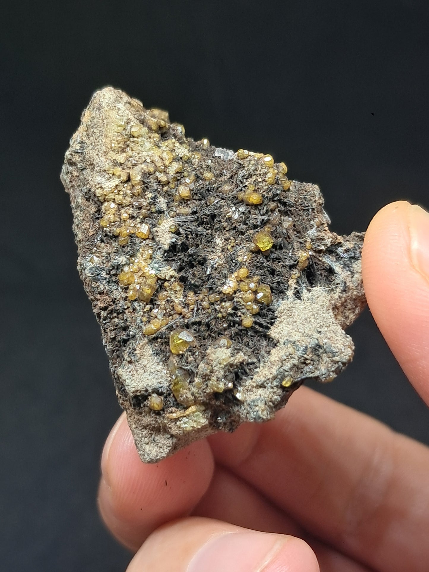 Green Garnet w/ Aegirine (Acmite) on Matrix (Mexico) Andradite Garnet Cluster |Rough Crystal Stone | Mineral Specimen #GR28