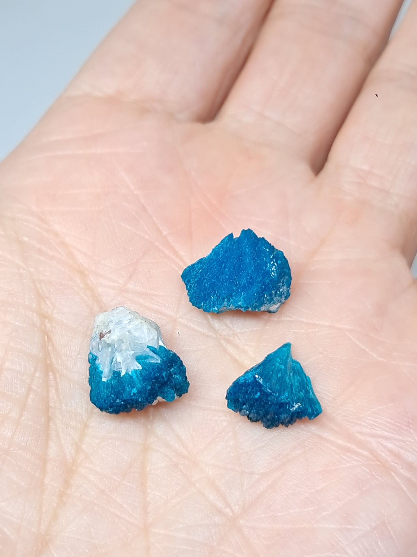 Conjunto de 3 cavansitas (wagholi) en bruto | Cristal natural | Ejemplar mineral raro n.° CV43