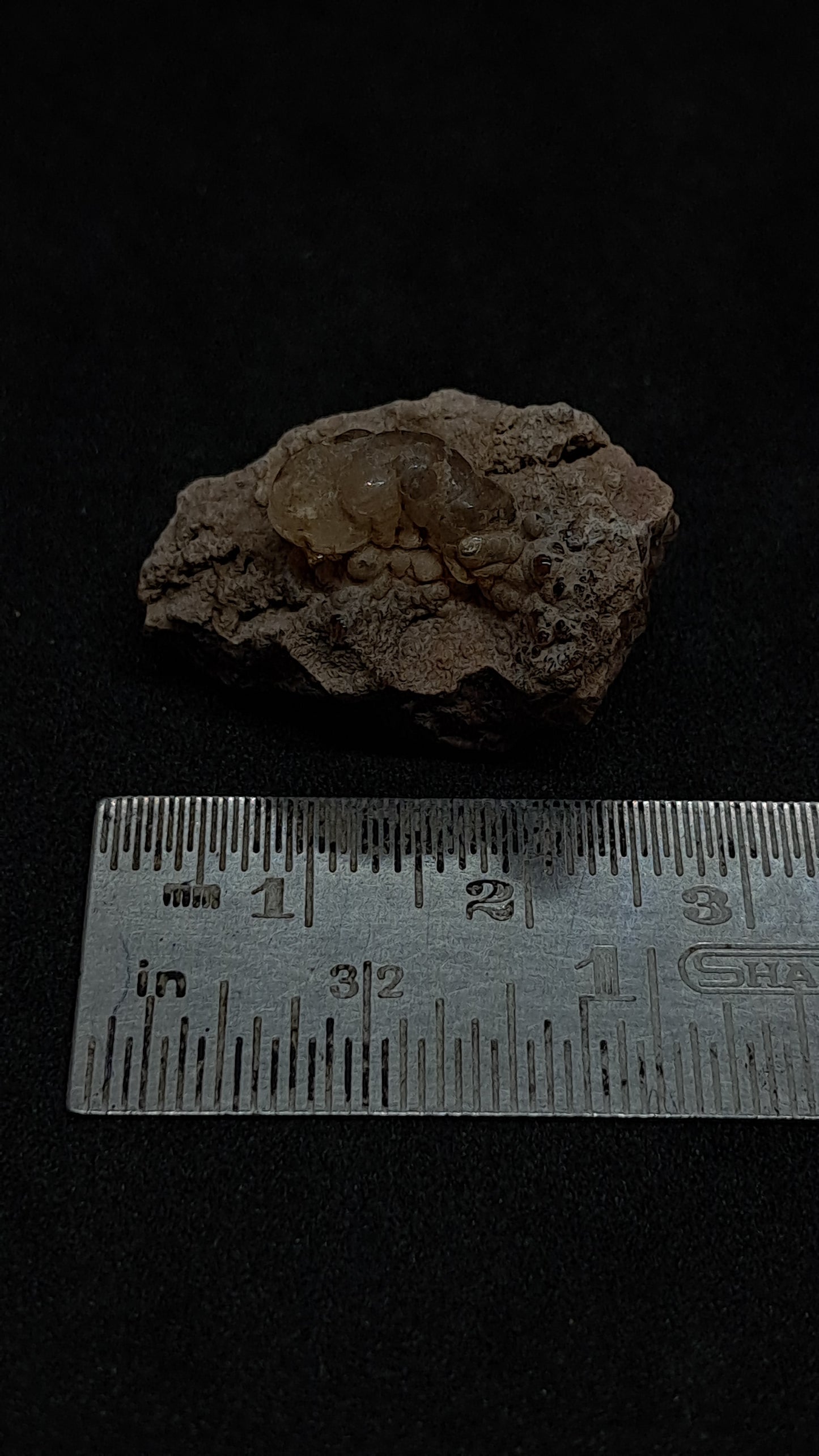 Hyalite Opal on Matrix (Mexico) Rough Crystal Stone | UV-Reactive Mineral Specimen #OH5