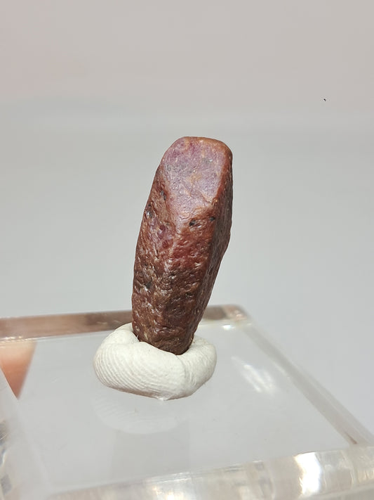 Rough Ruby Crystal (Tamil Nadu) Natural Stone | Mineral Specimen #RB31