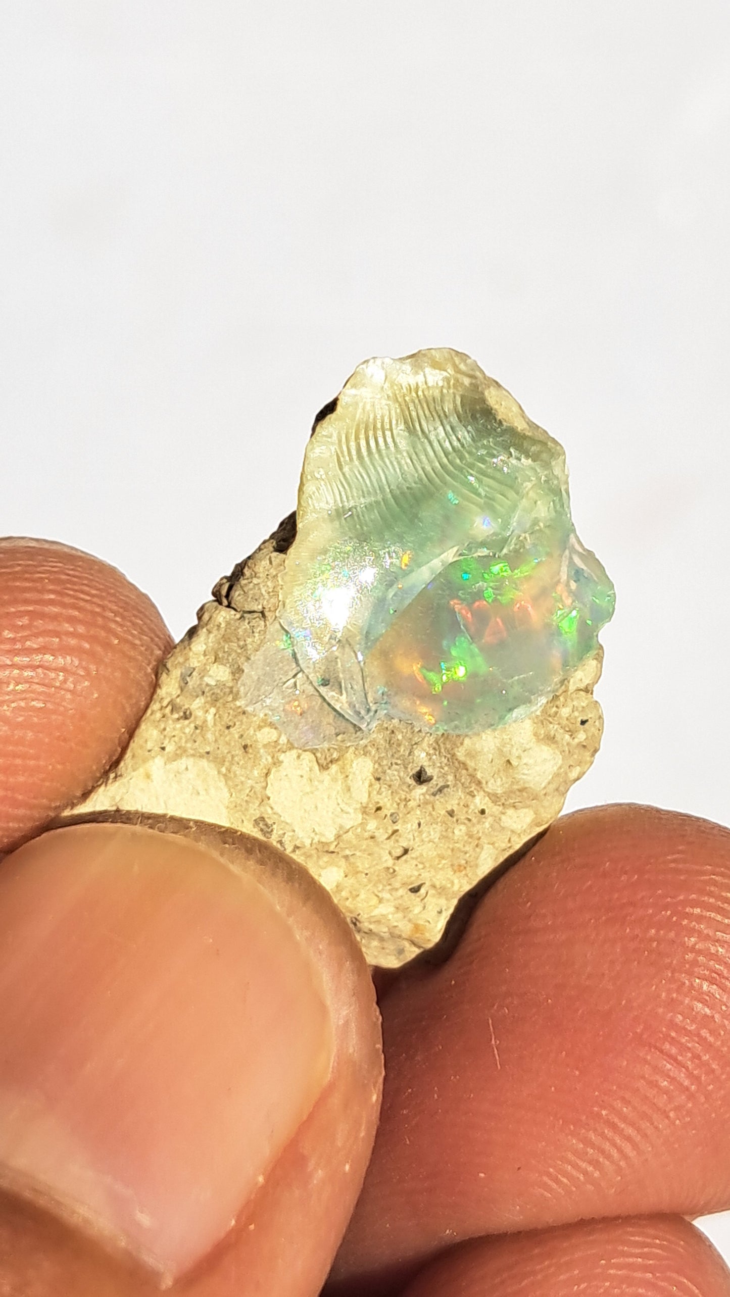 Natural Ethiopian Opal Rough | White Hydrophane Opal w/ Bright Play of Color #OP2