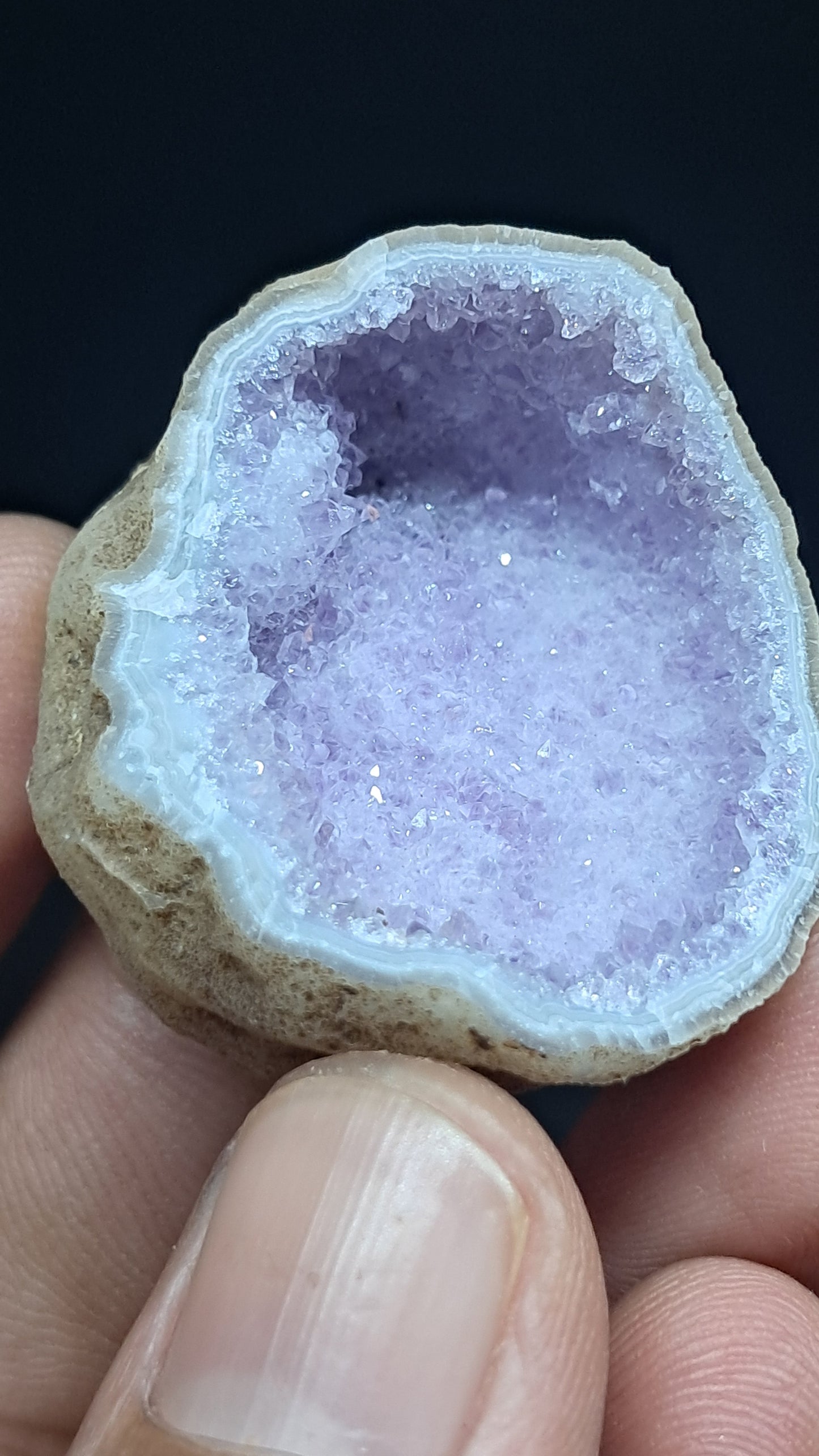 Amethyst Geode (Ajanta) | Deep Cavity | Natural Crystal | Rough Stone #GD31